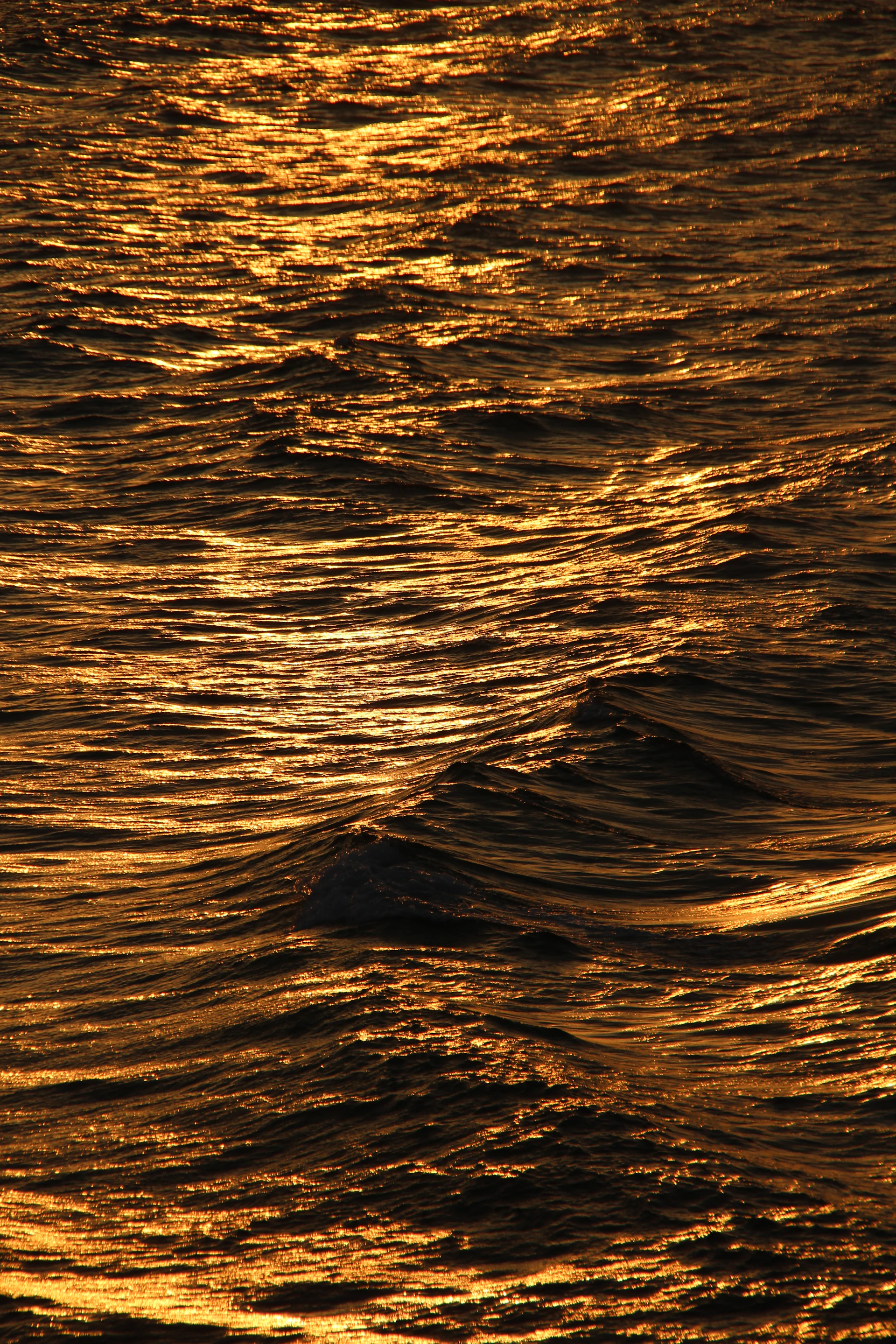 A bird flying over a body of water at sunset