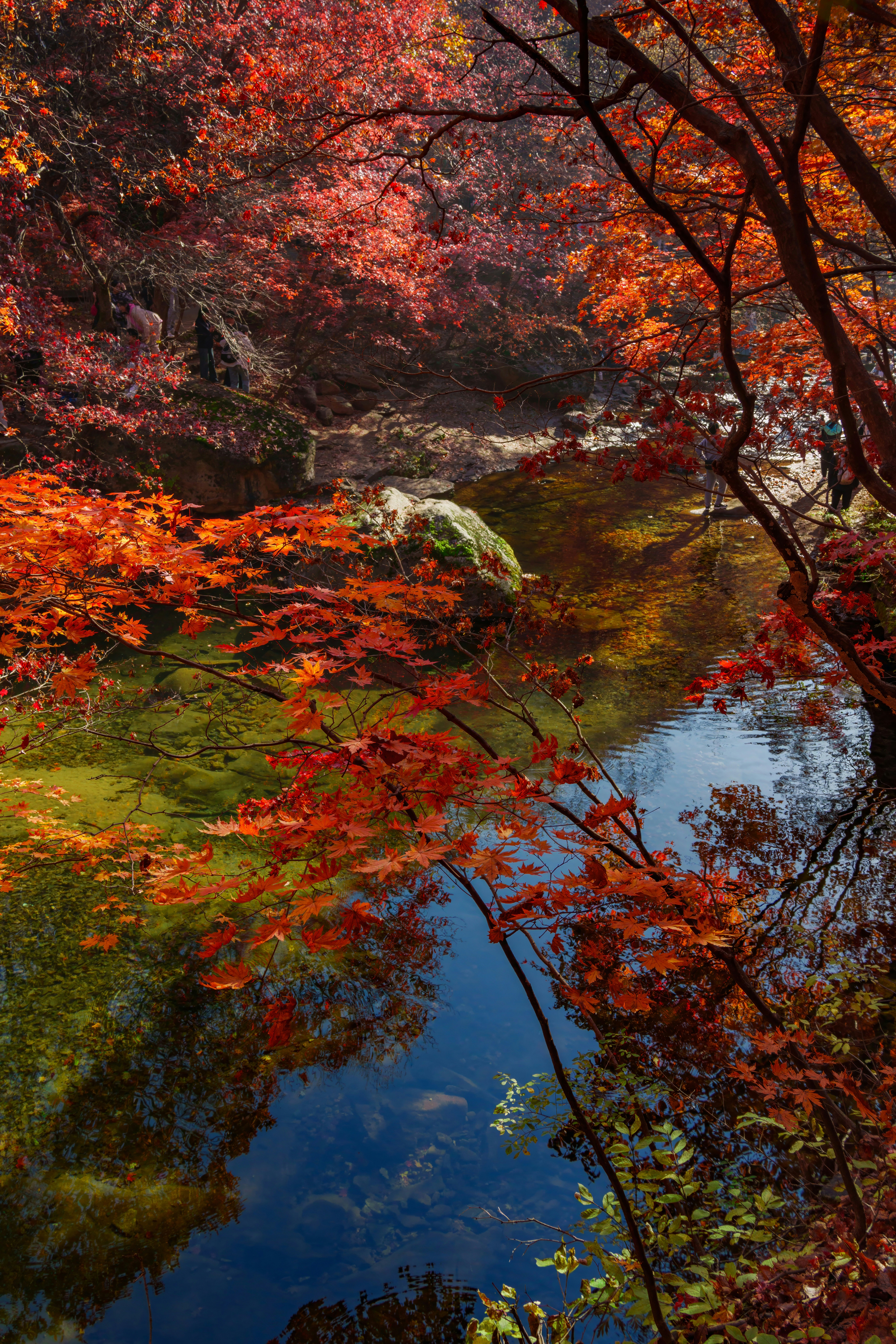 Photo by hattrick1996