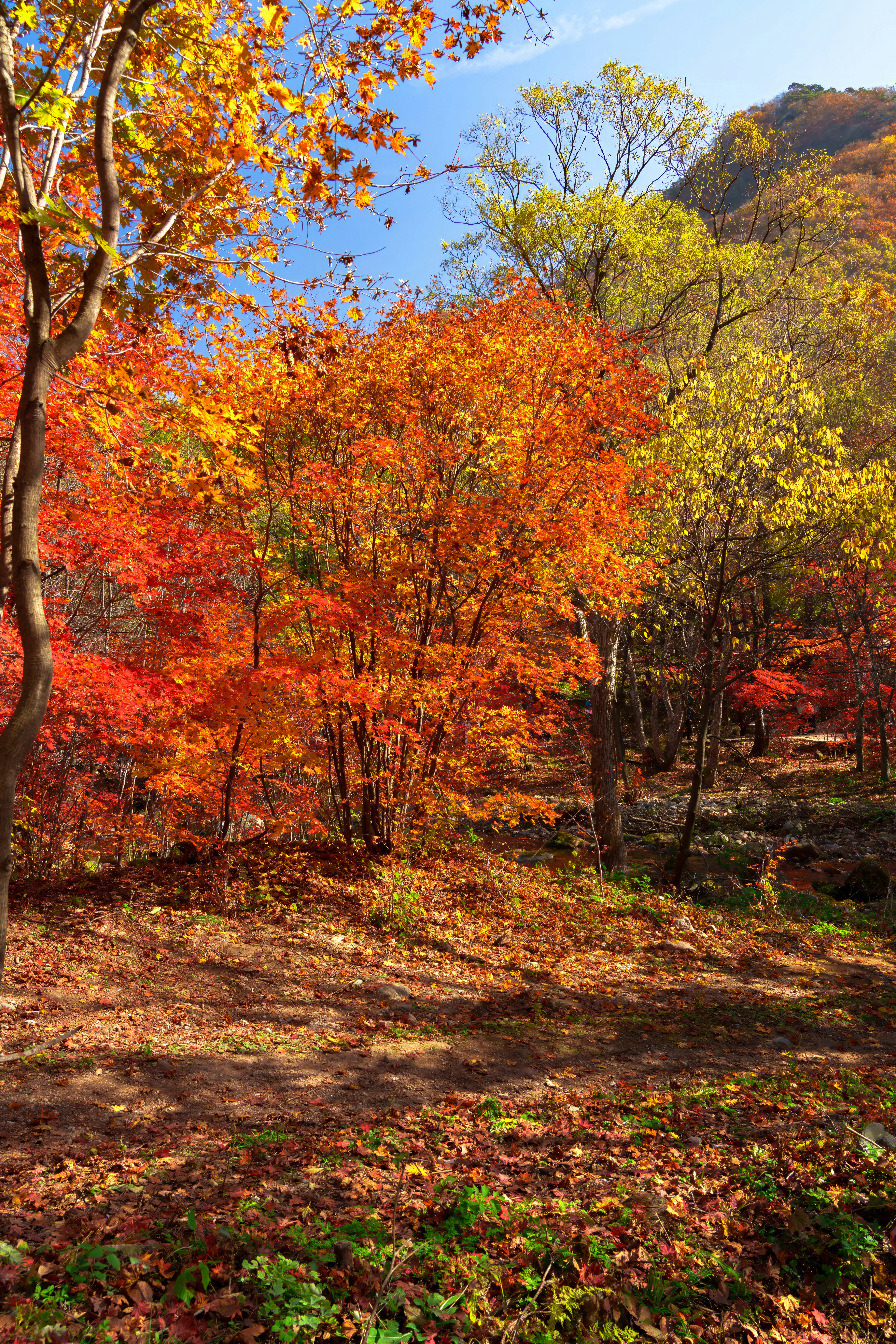 Photo by hattrick1996