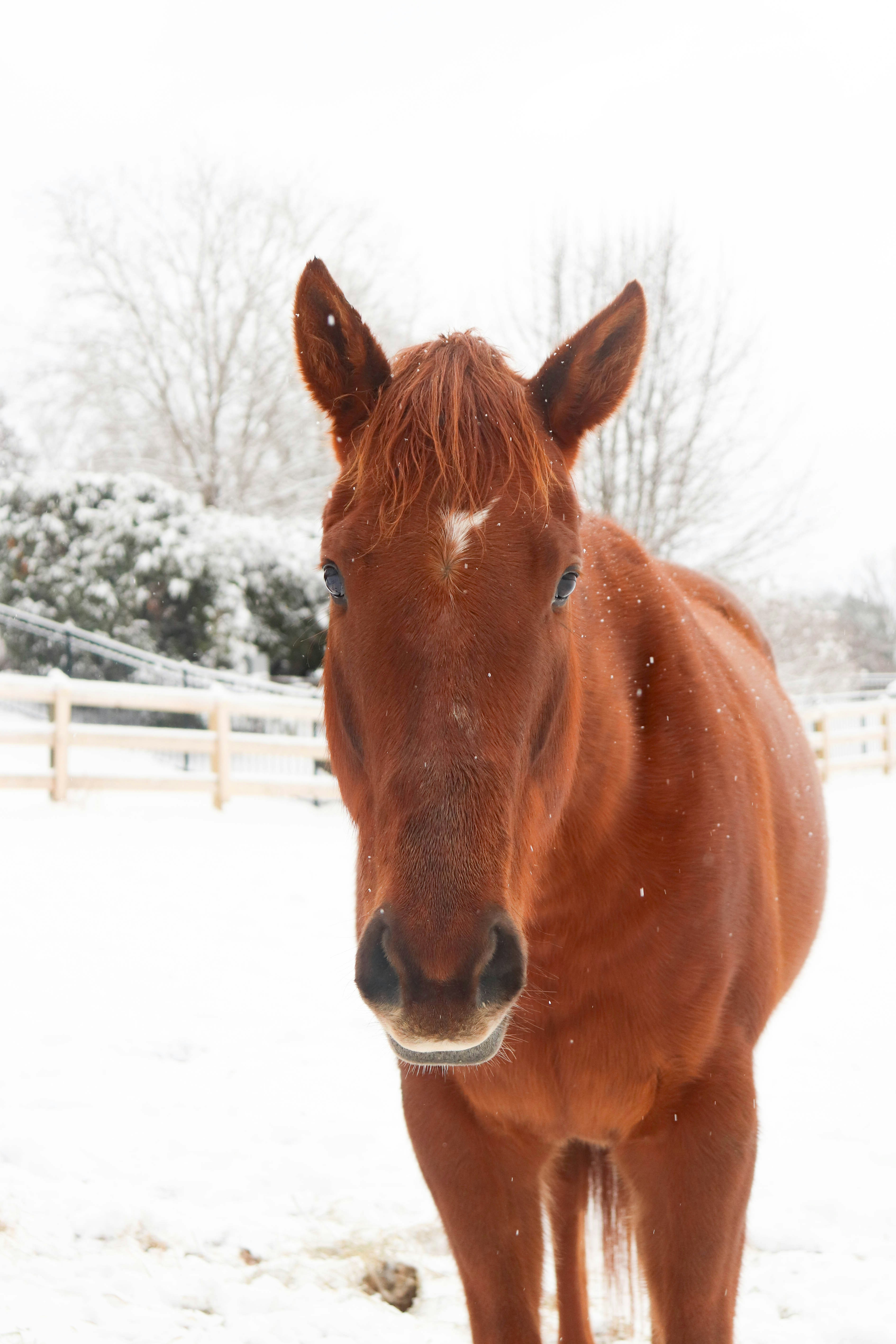 Photo by lroberts067