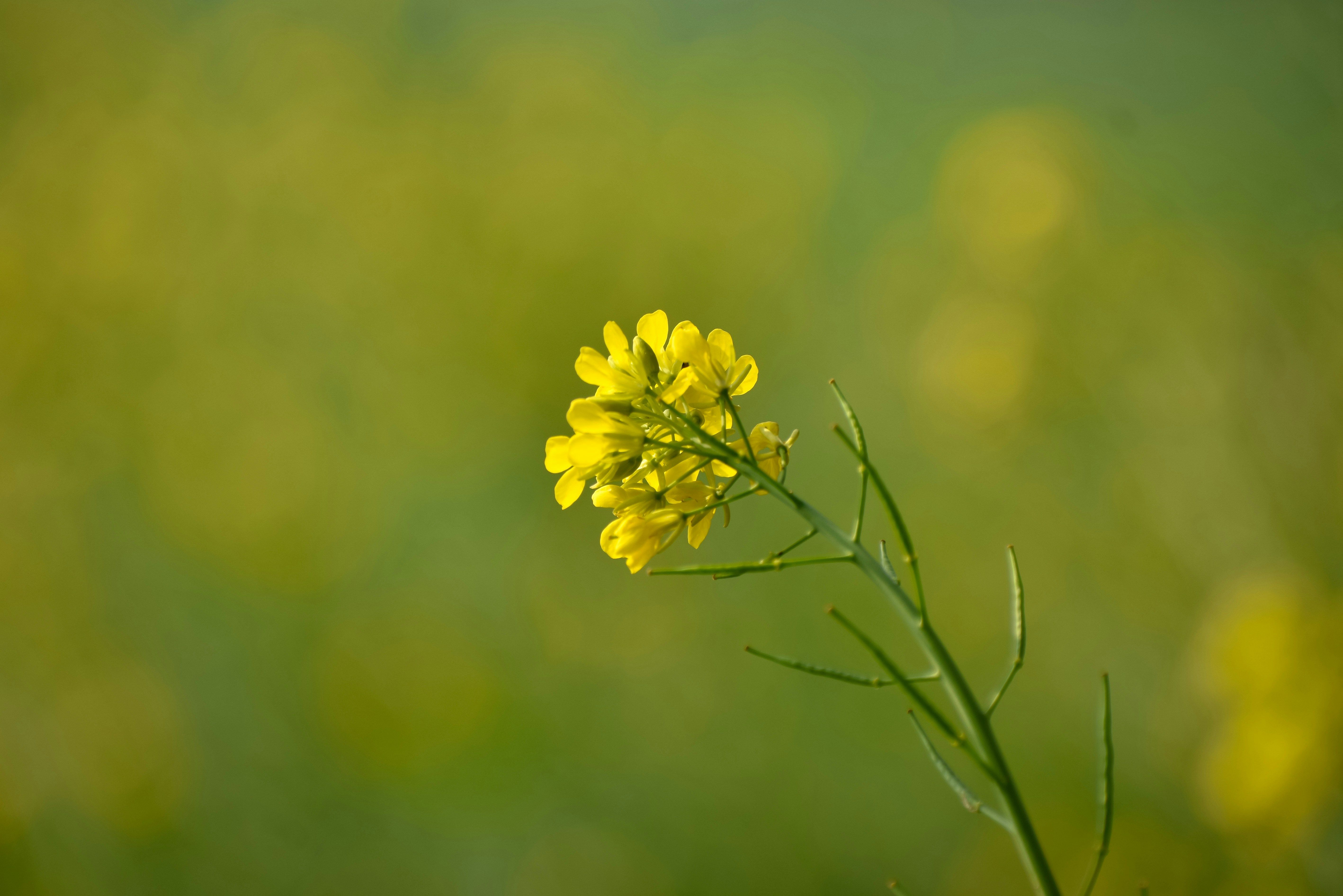 Photo by adventurelife24