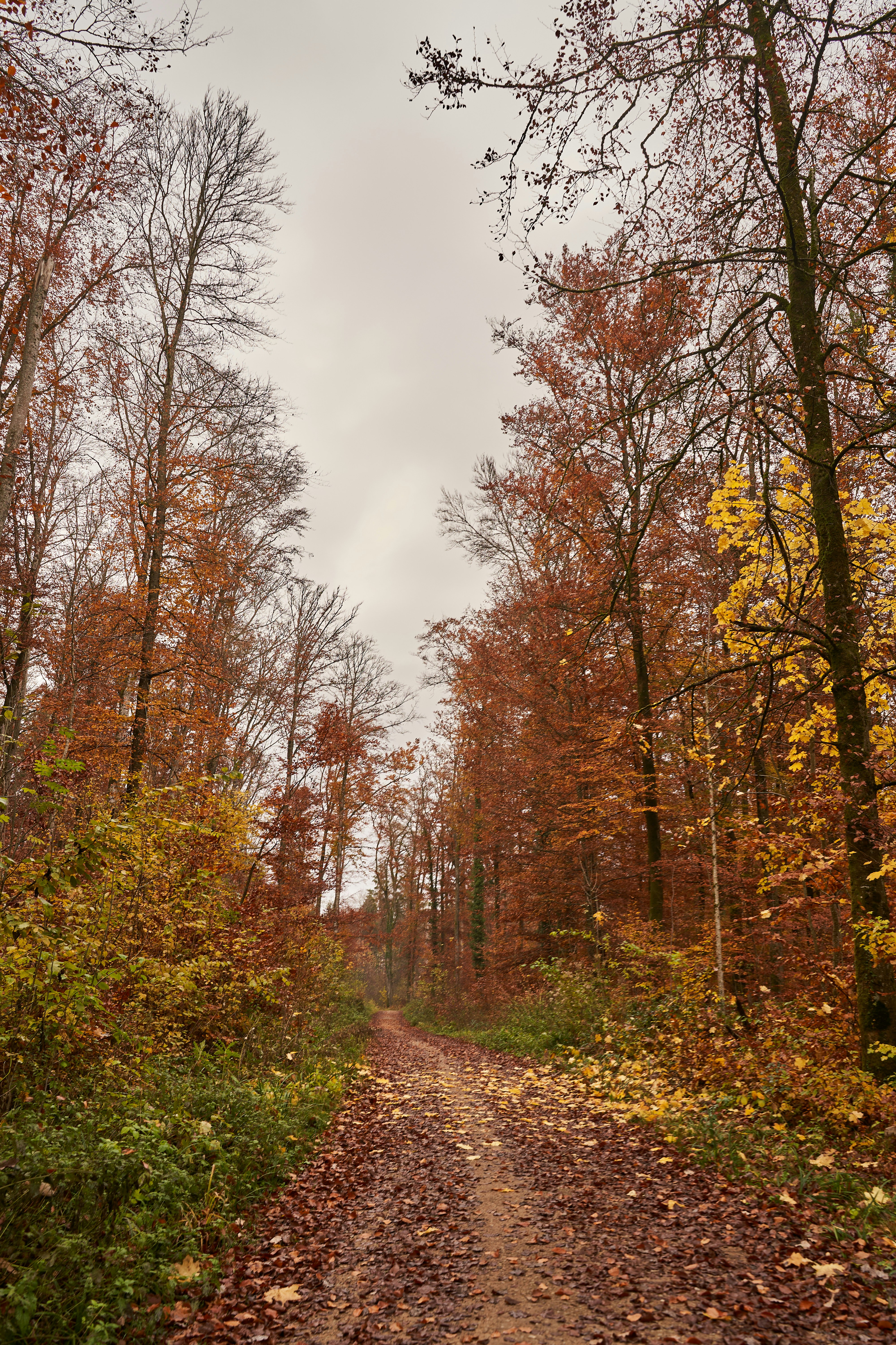 Photo by wolfgang_hasselmann