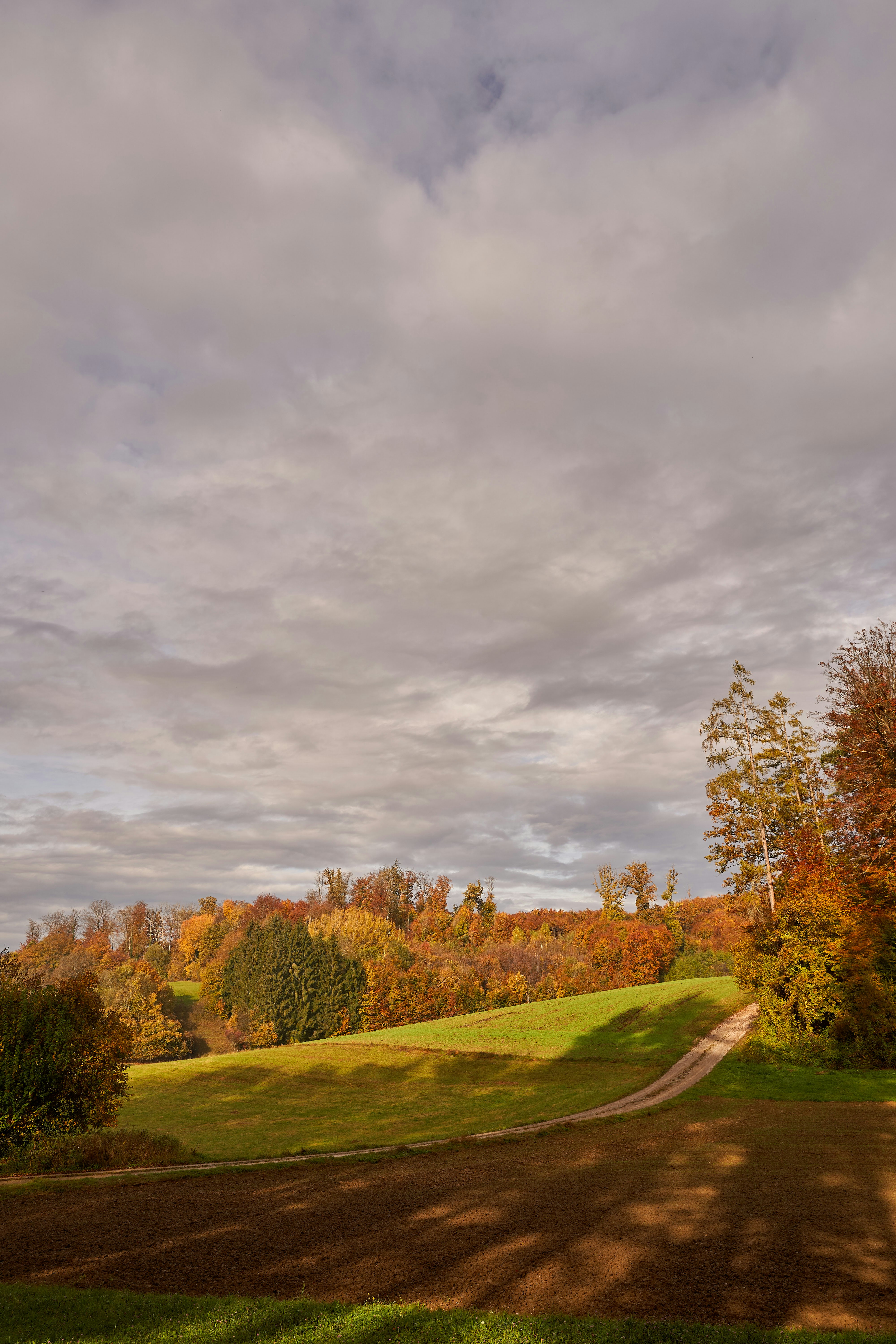 Photo by wolfgang_hasselmann