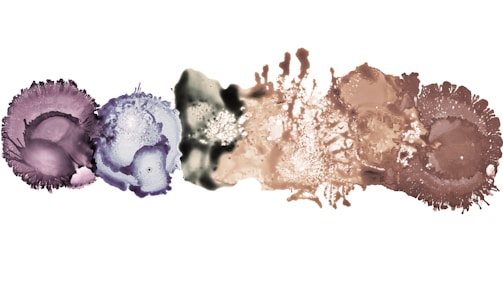 A group of different shades of makeup on a white background