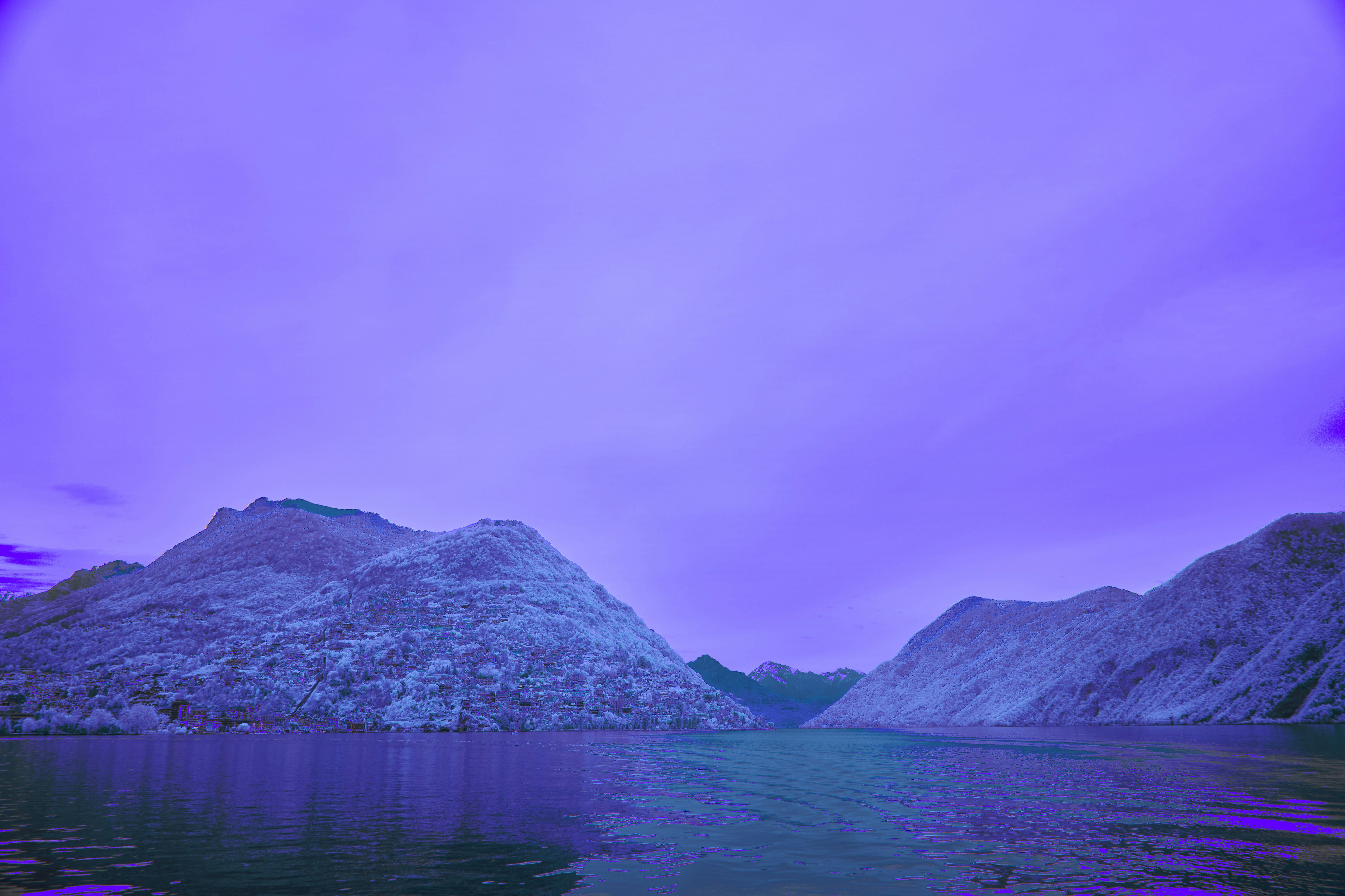 Photo by wolfgang_hasselmann