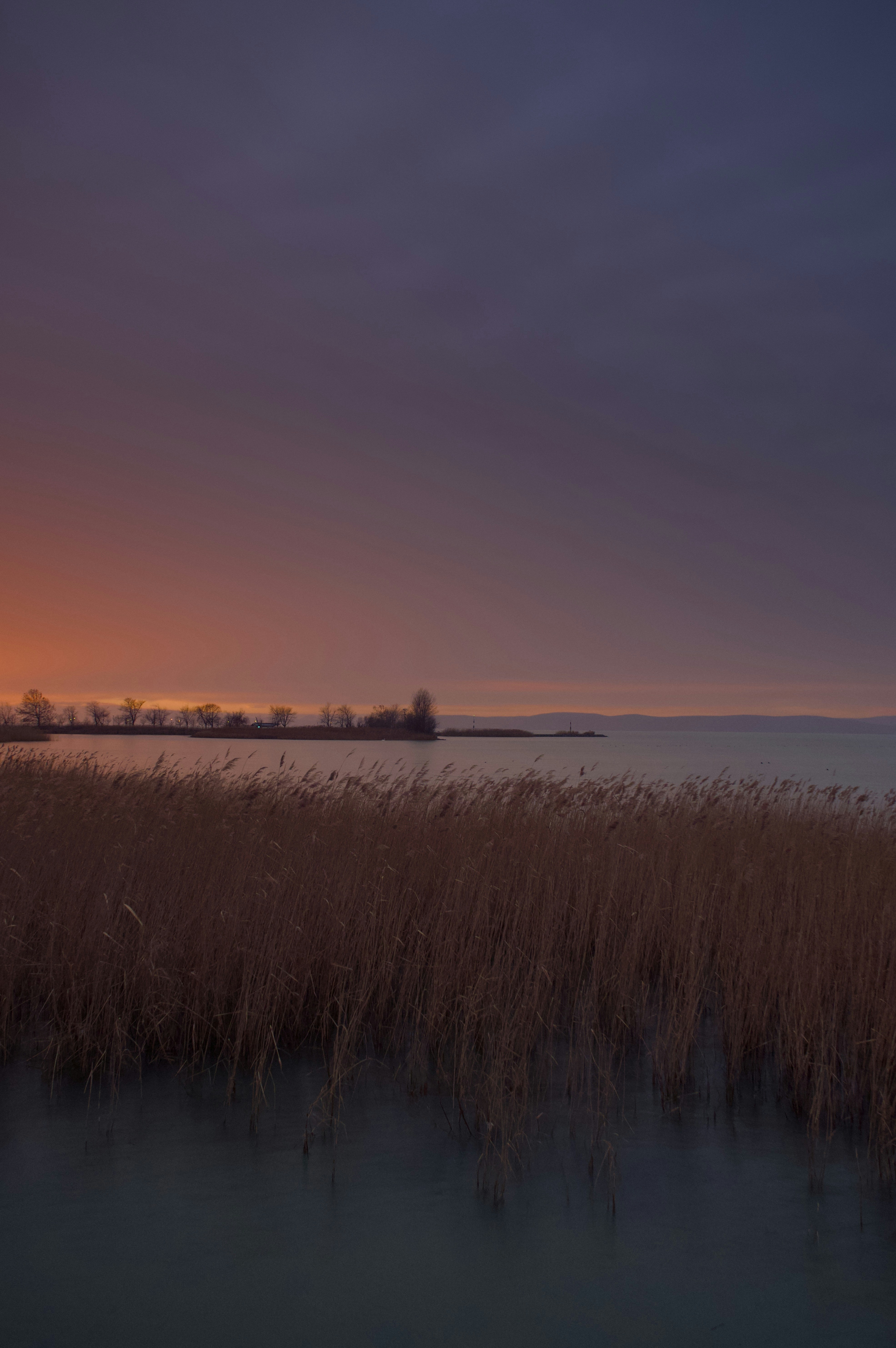 Photo by adamhornyak