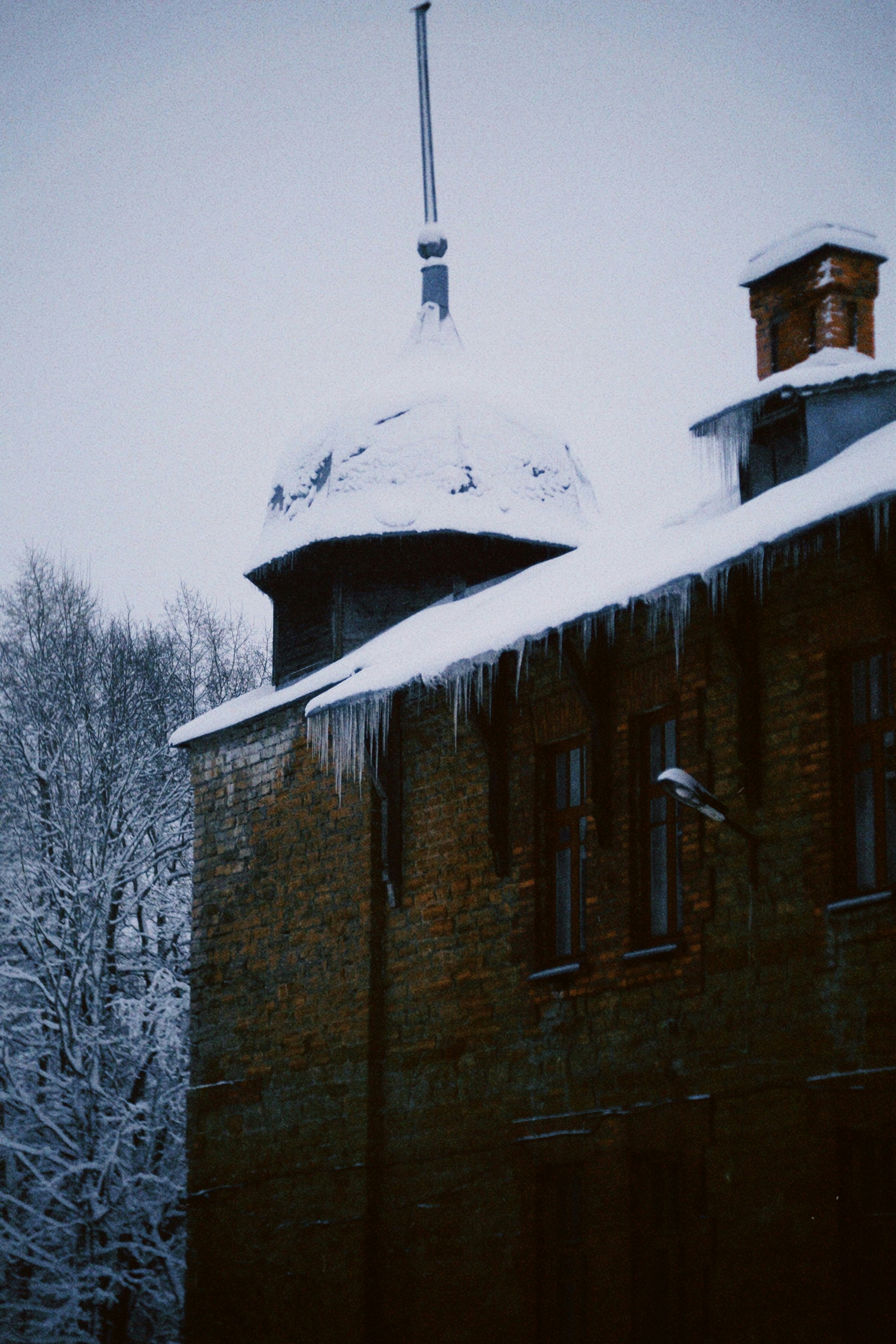 Photo by danniellyann