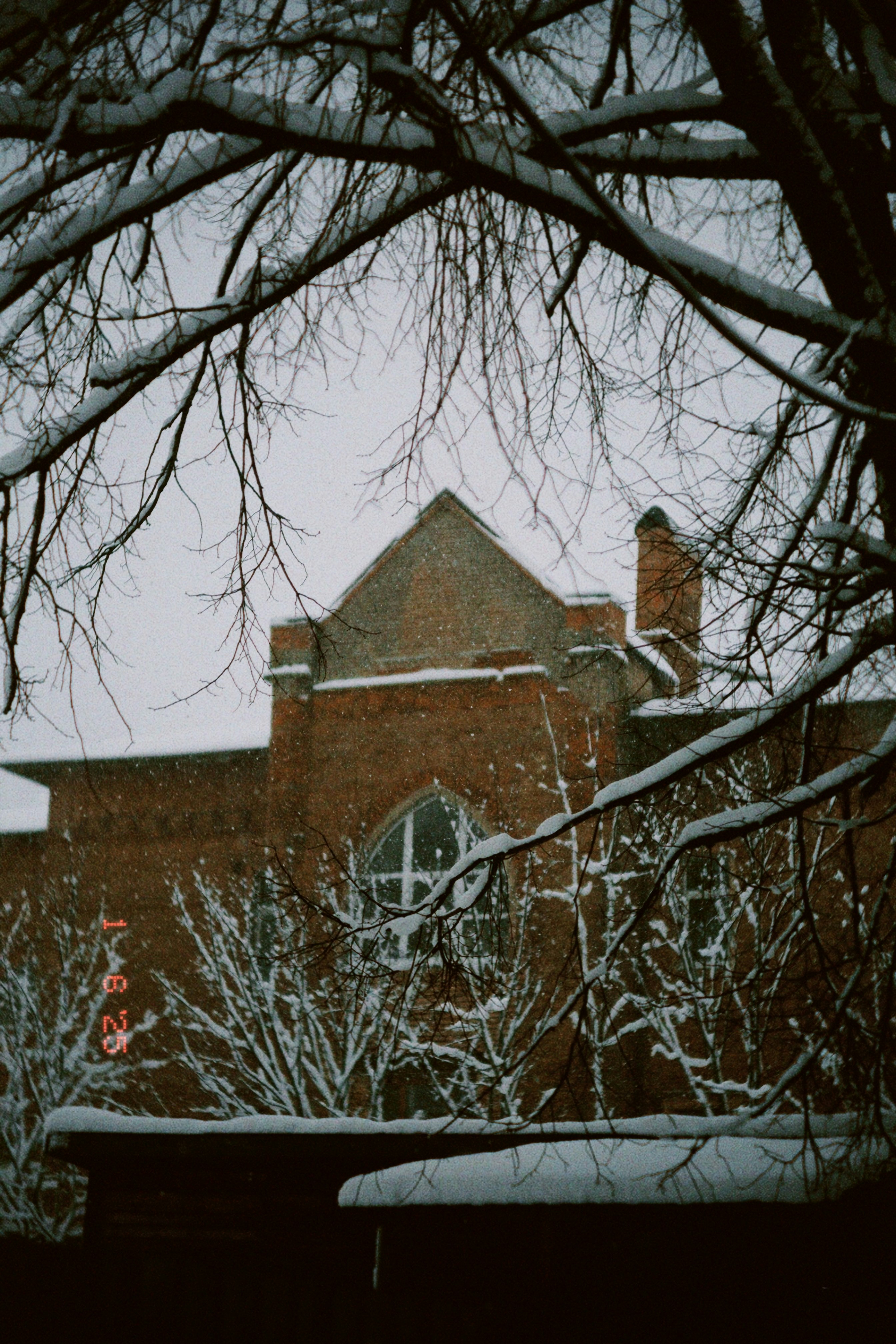 Photo by danniellyann