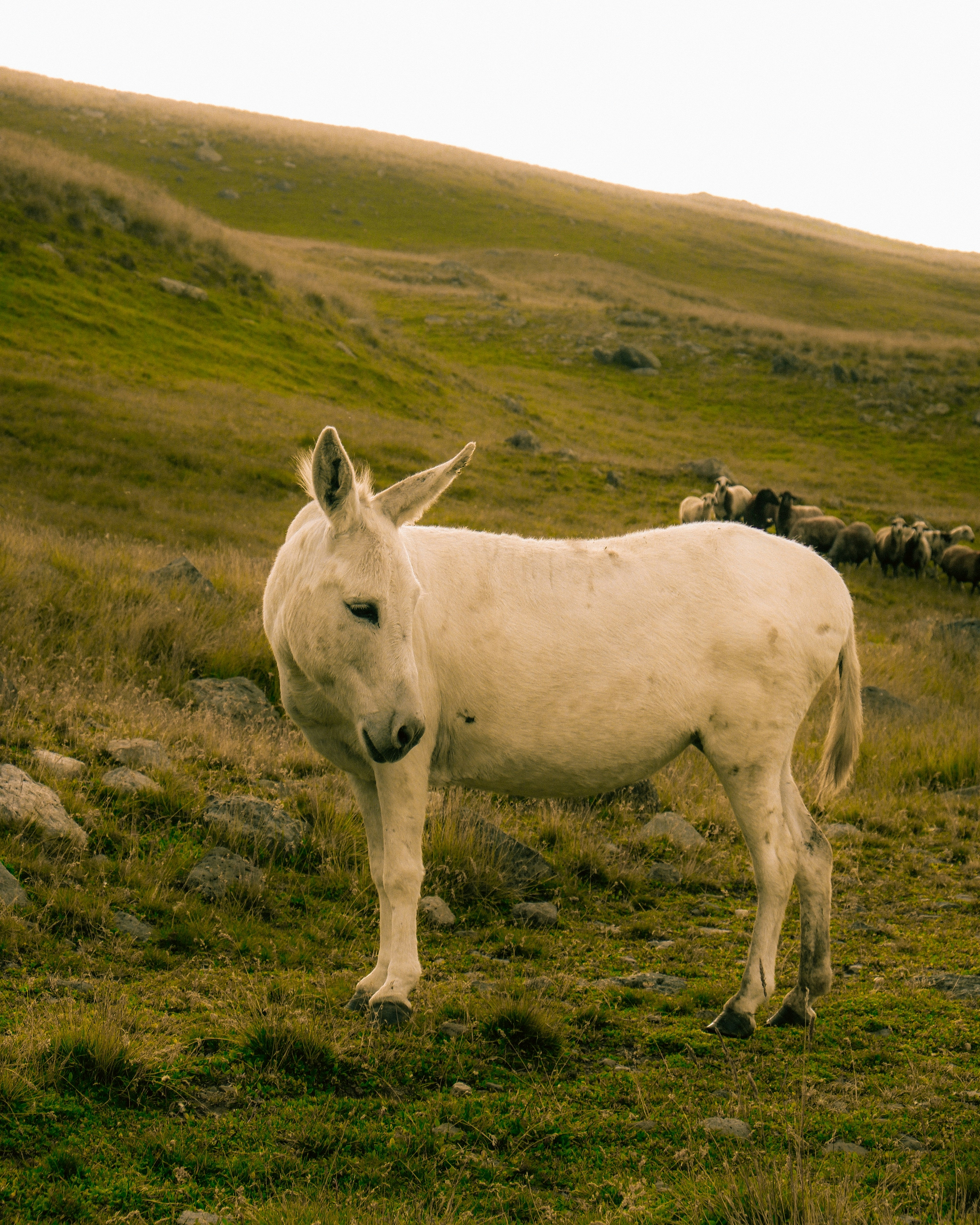 Photo by danniellyann