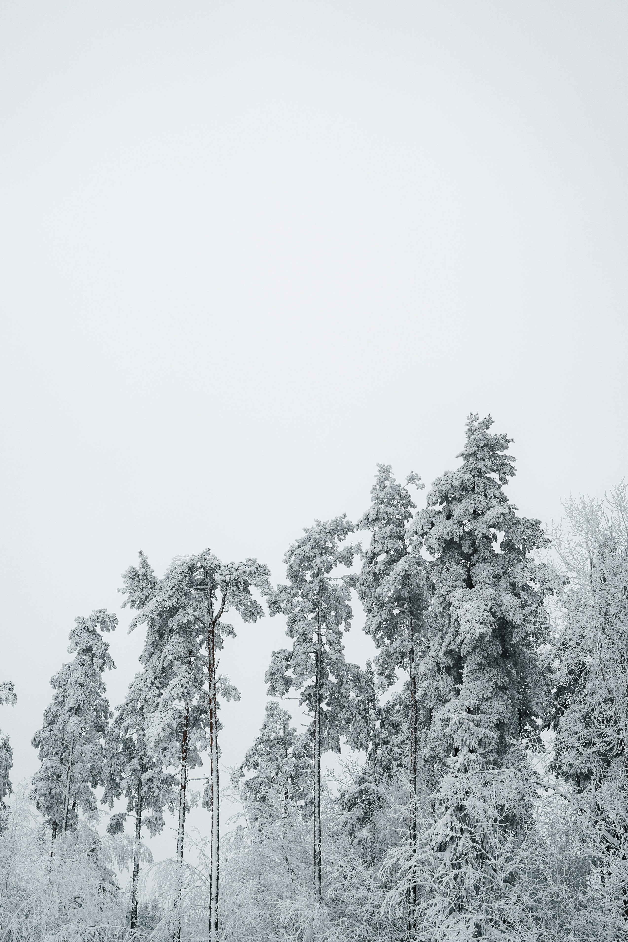 Photo by auchynnikau