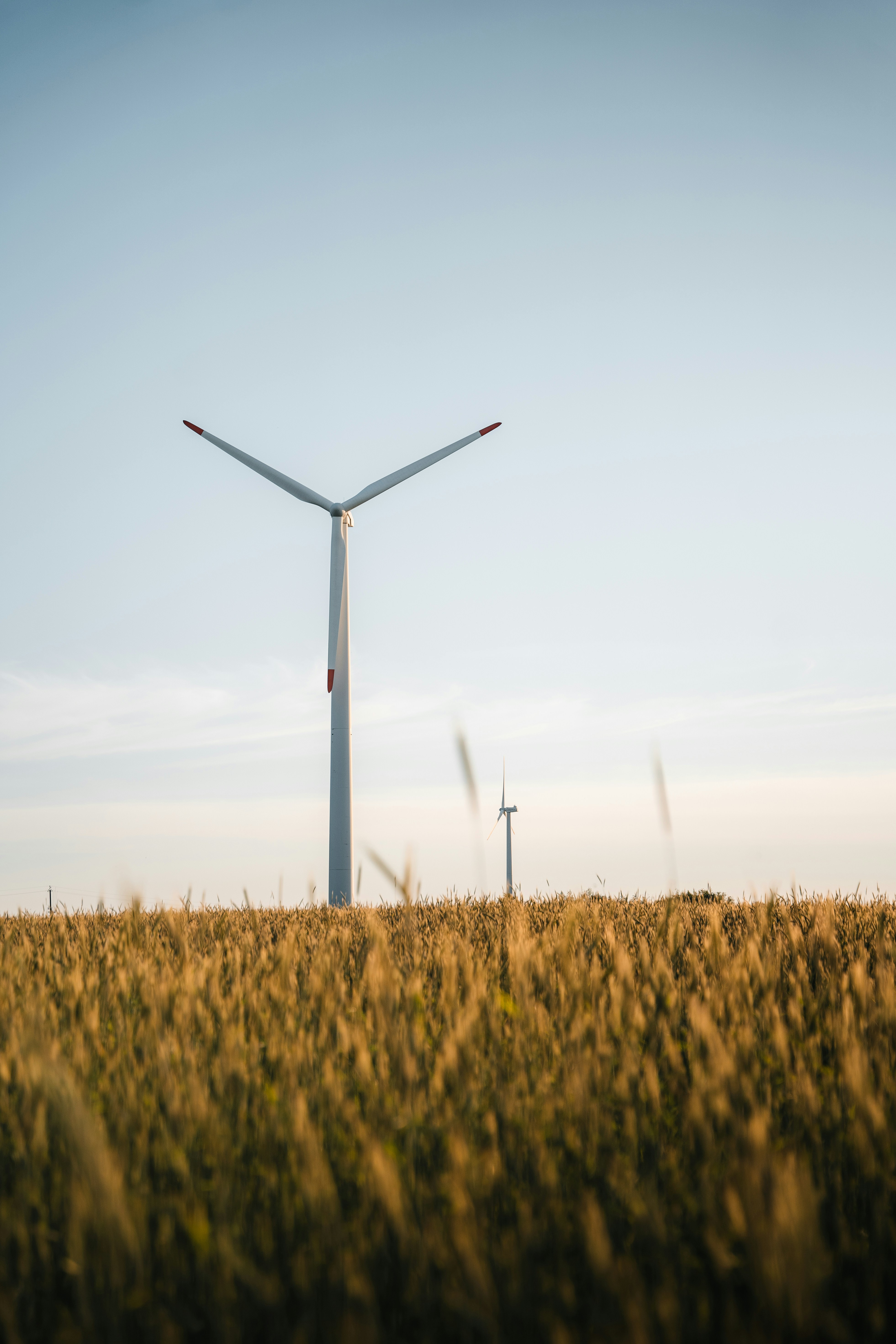 Photo by auchynnikau