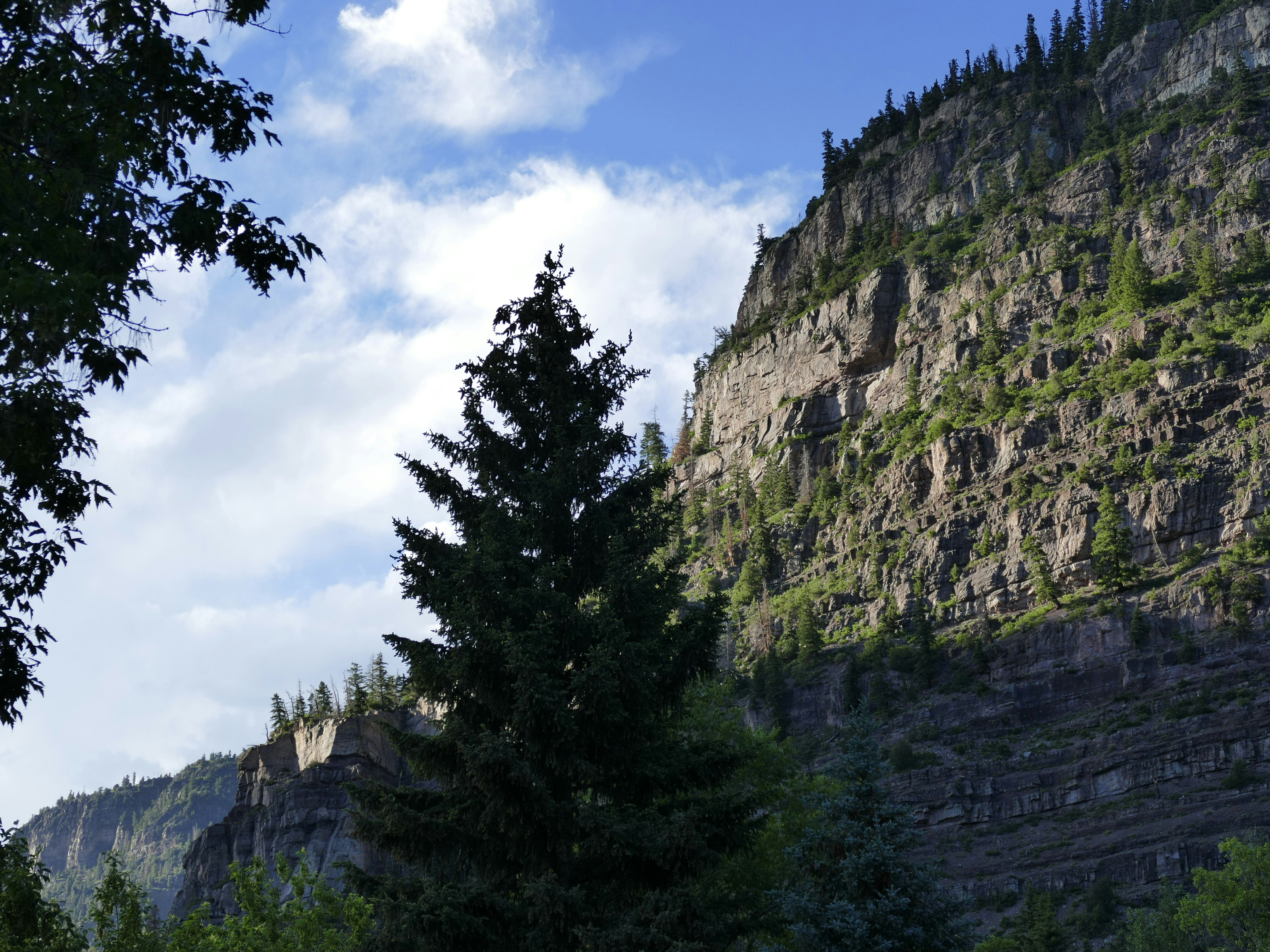 Photo by davidpaints2