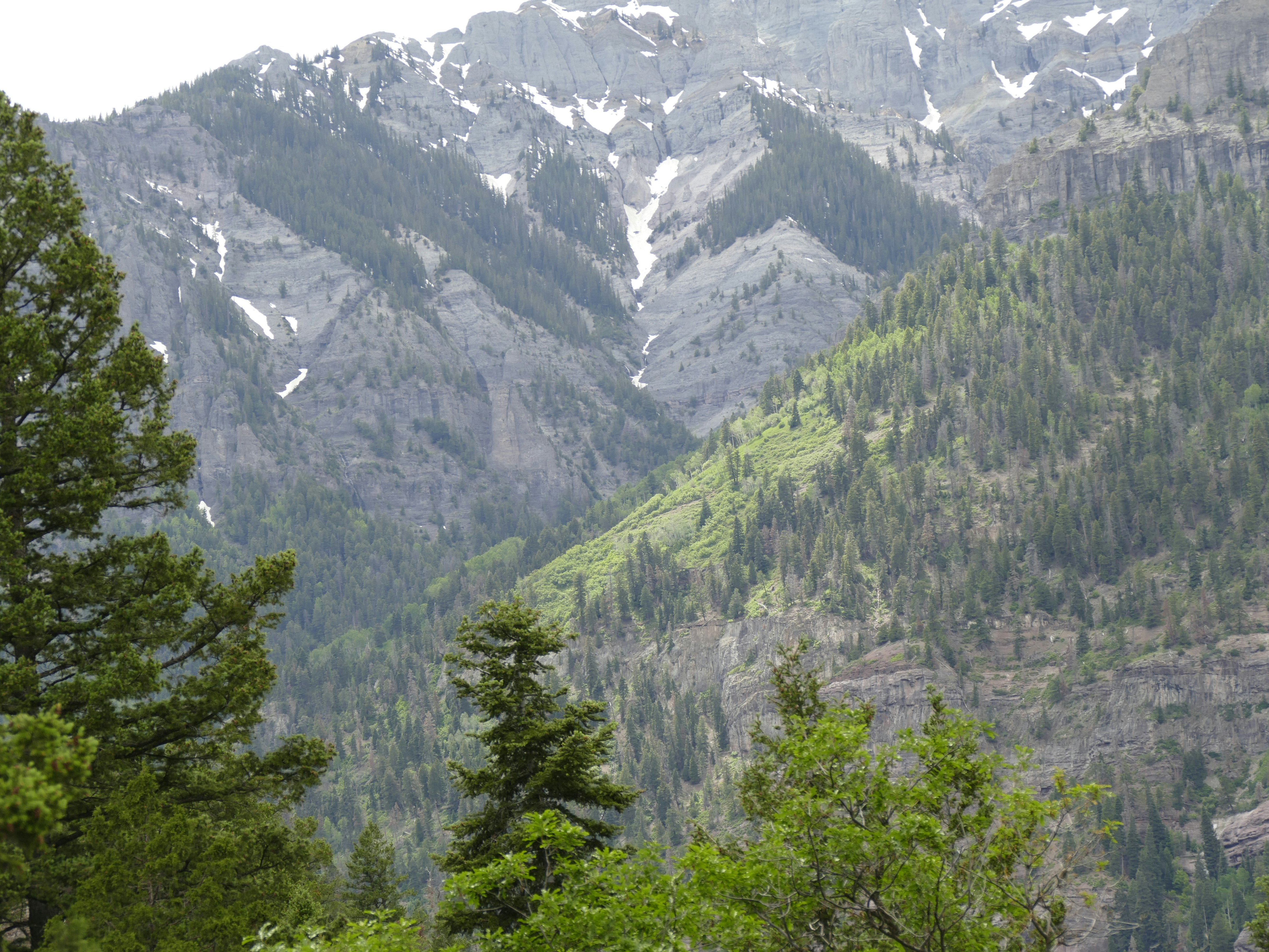 Photo by davidpaints2