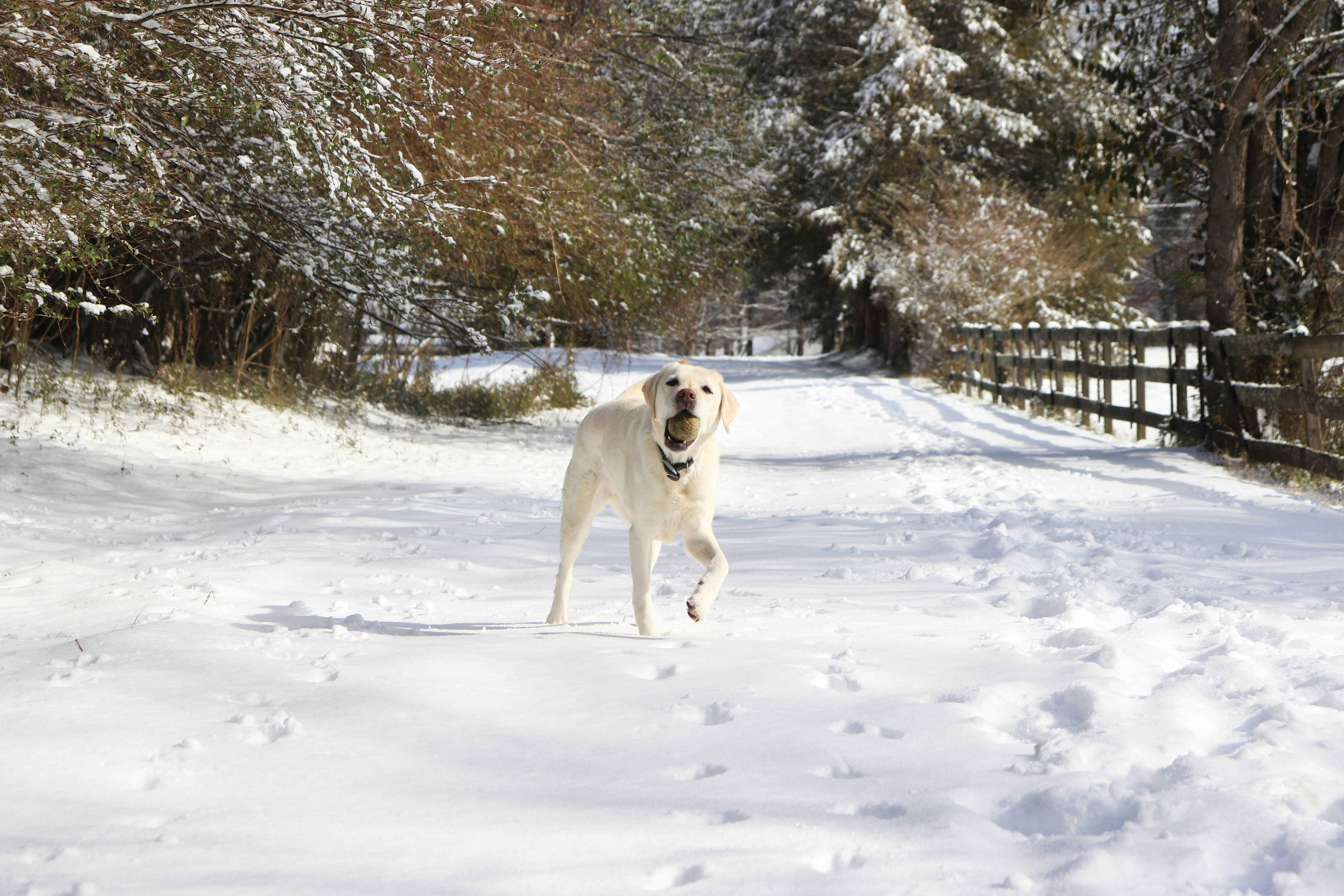 Photo by lroberts067