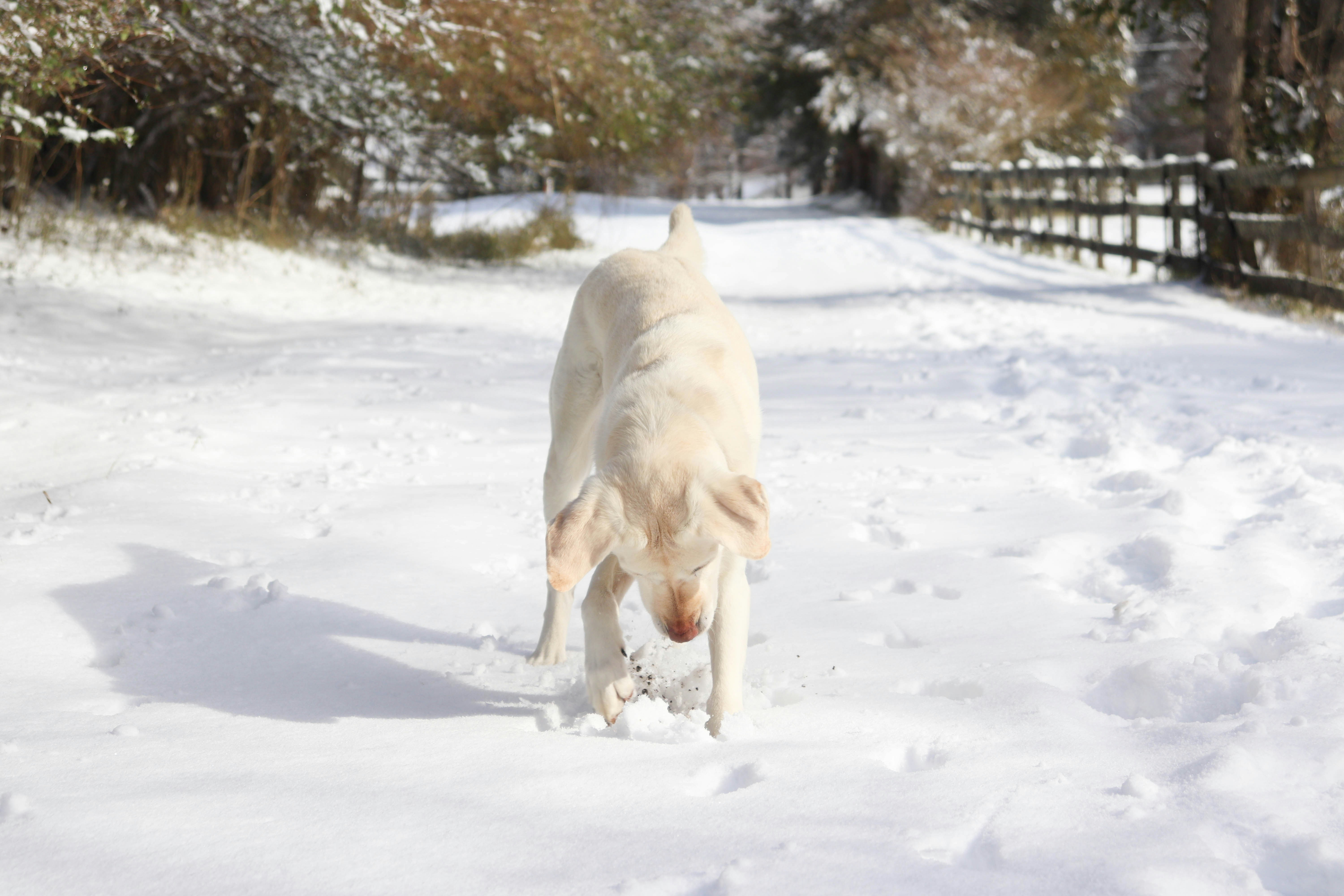 Photo by lroberts067