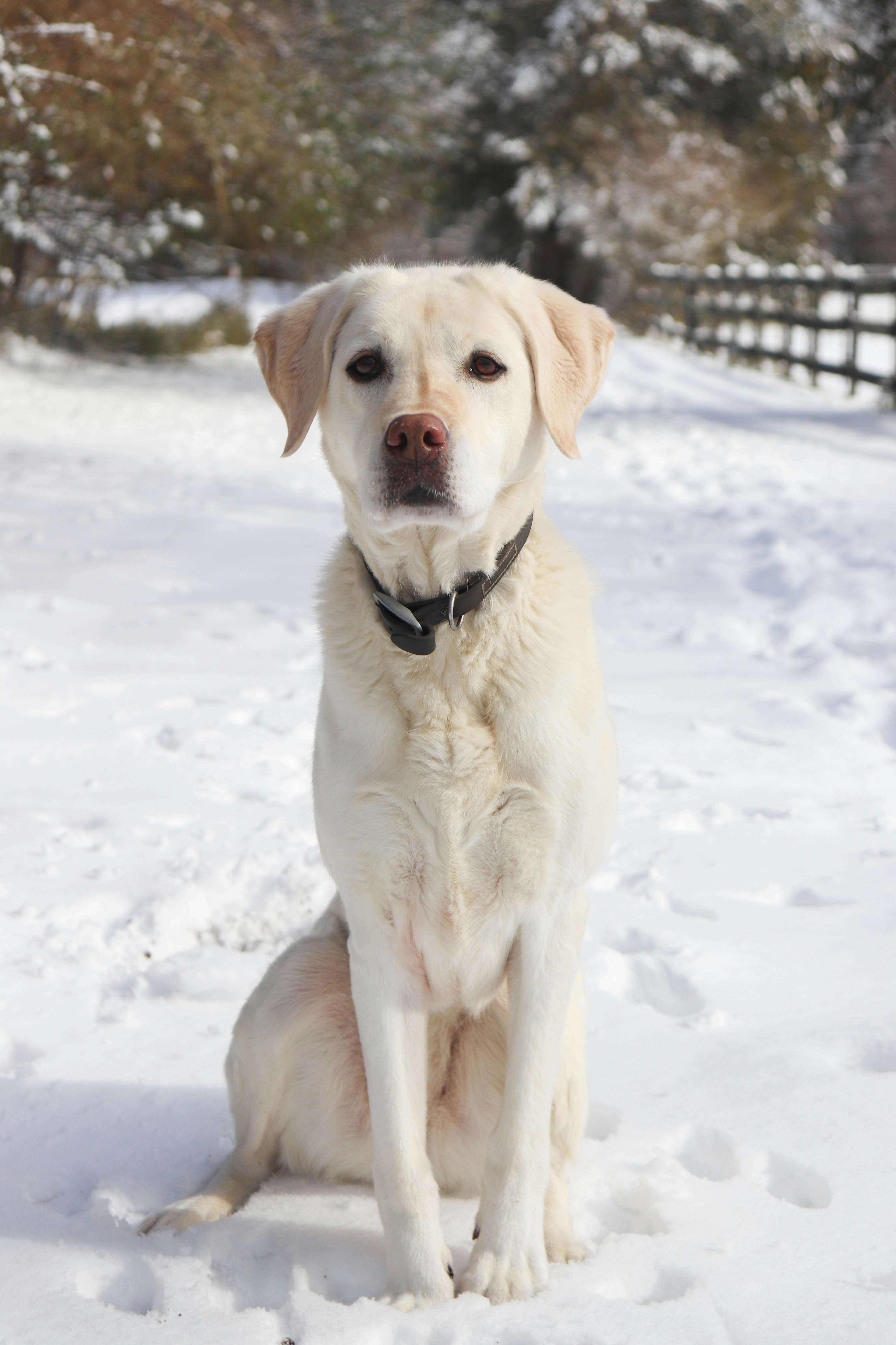 Photo by lroberts067