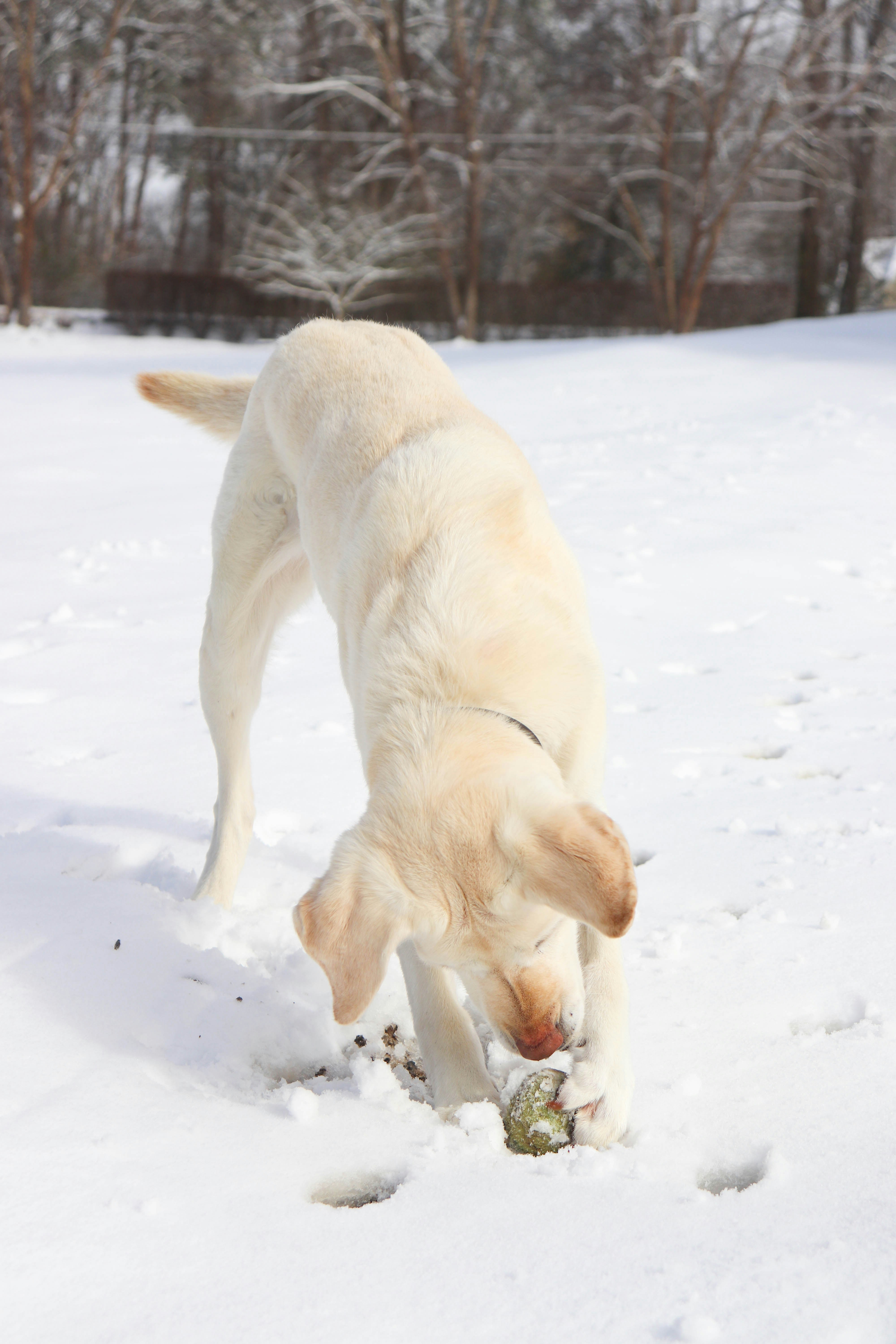 Photo by lroberts067