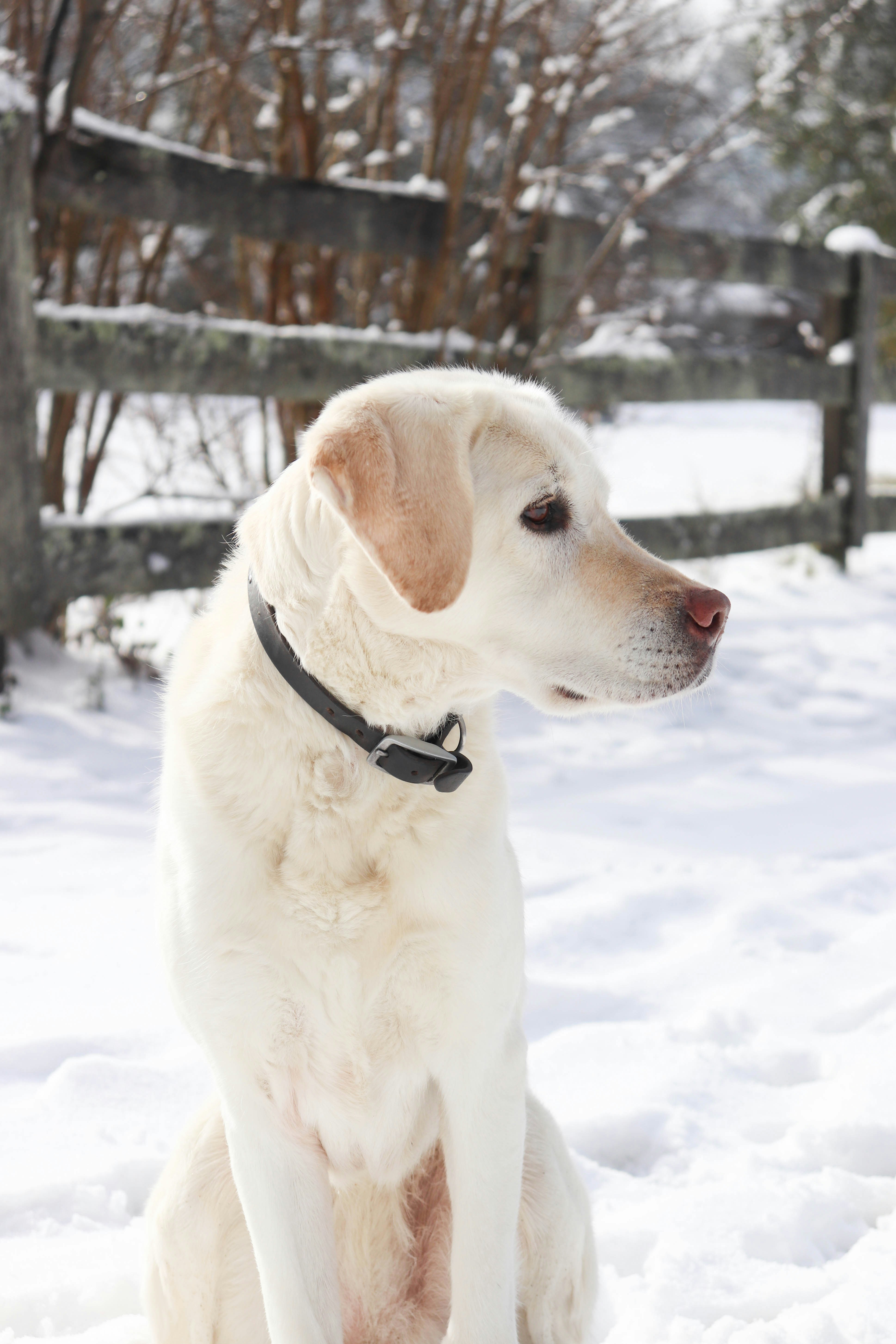 Photo by lroberts067