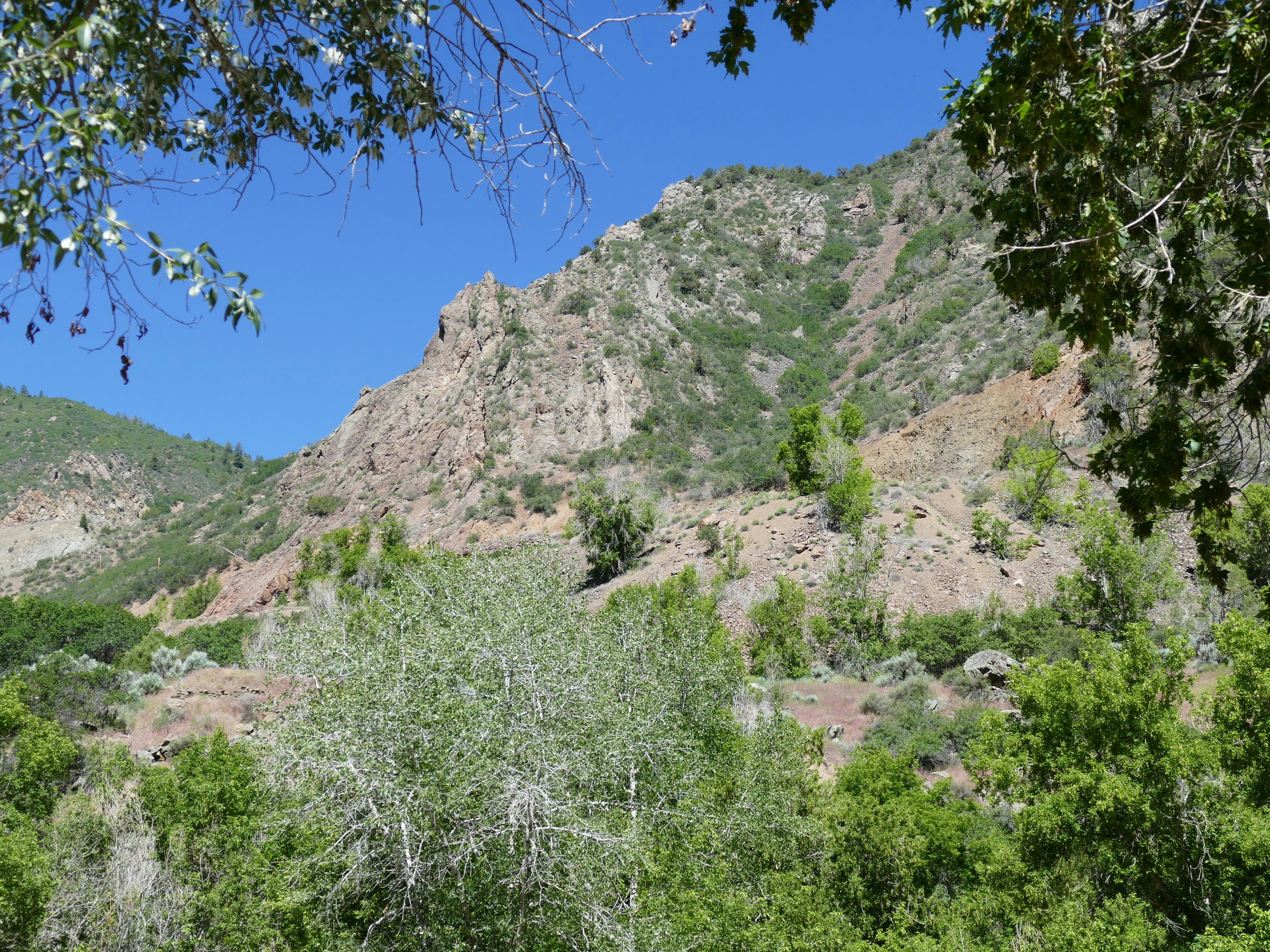 Photo by davidpaints2