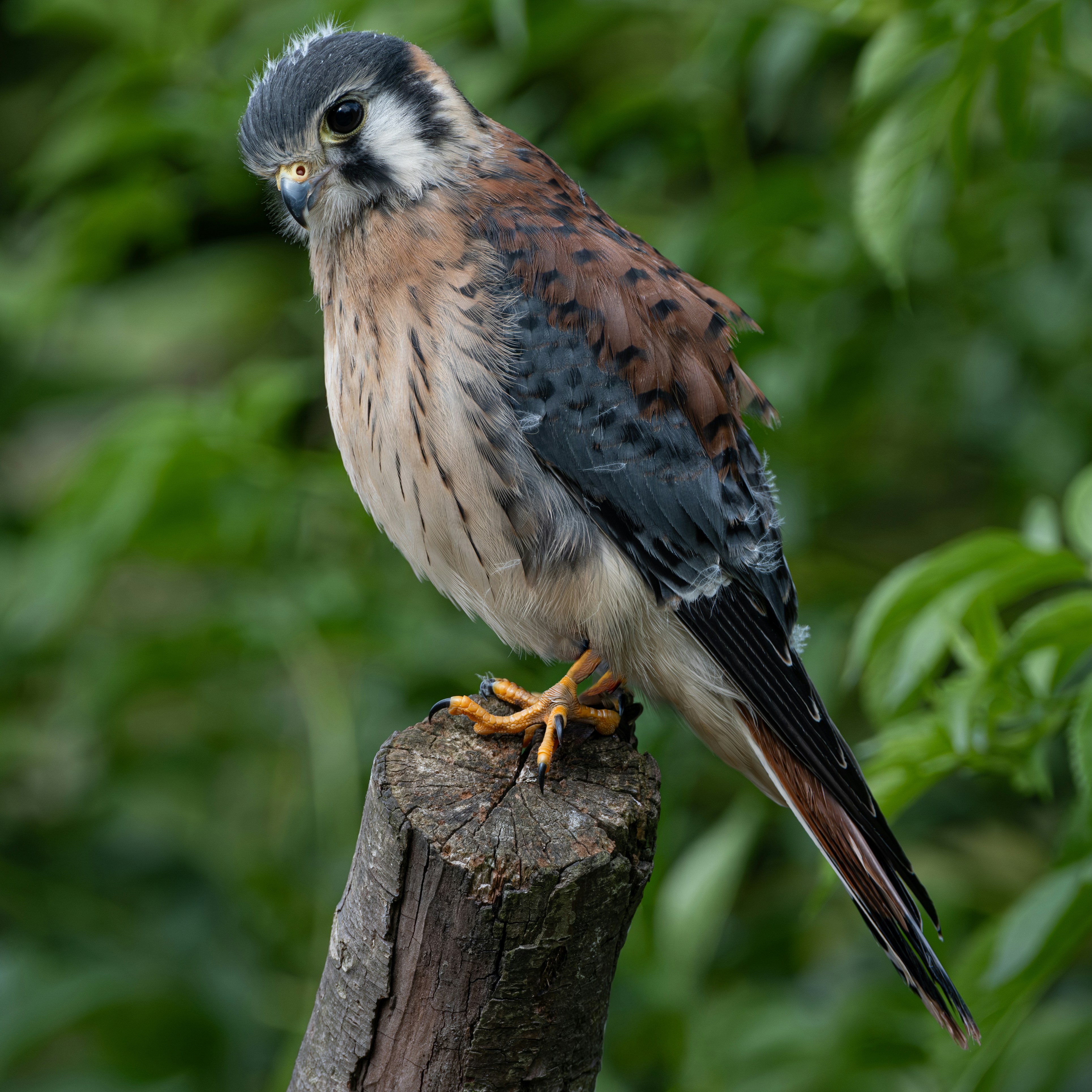 Photo by philrobson100