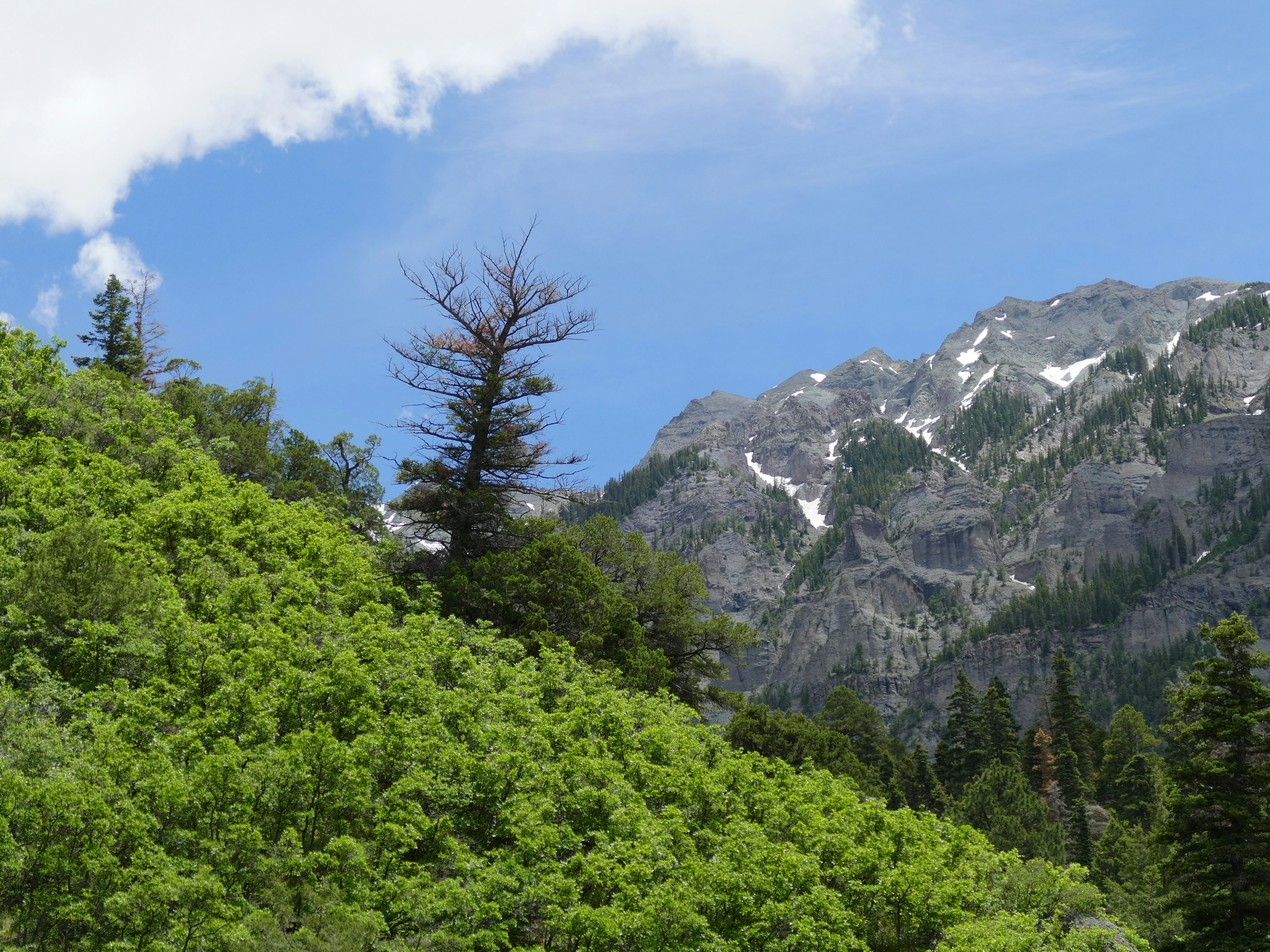 Photo by davidpaints2