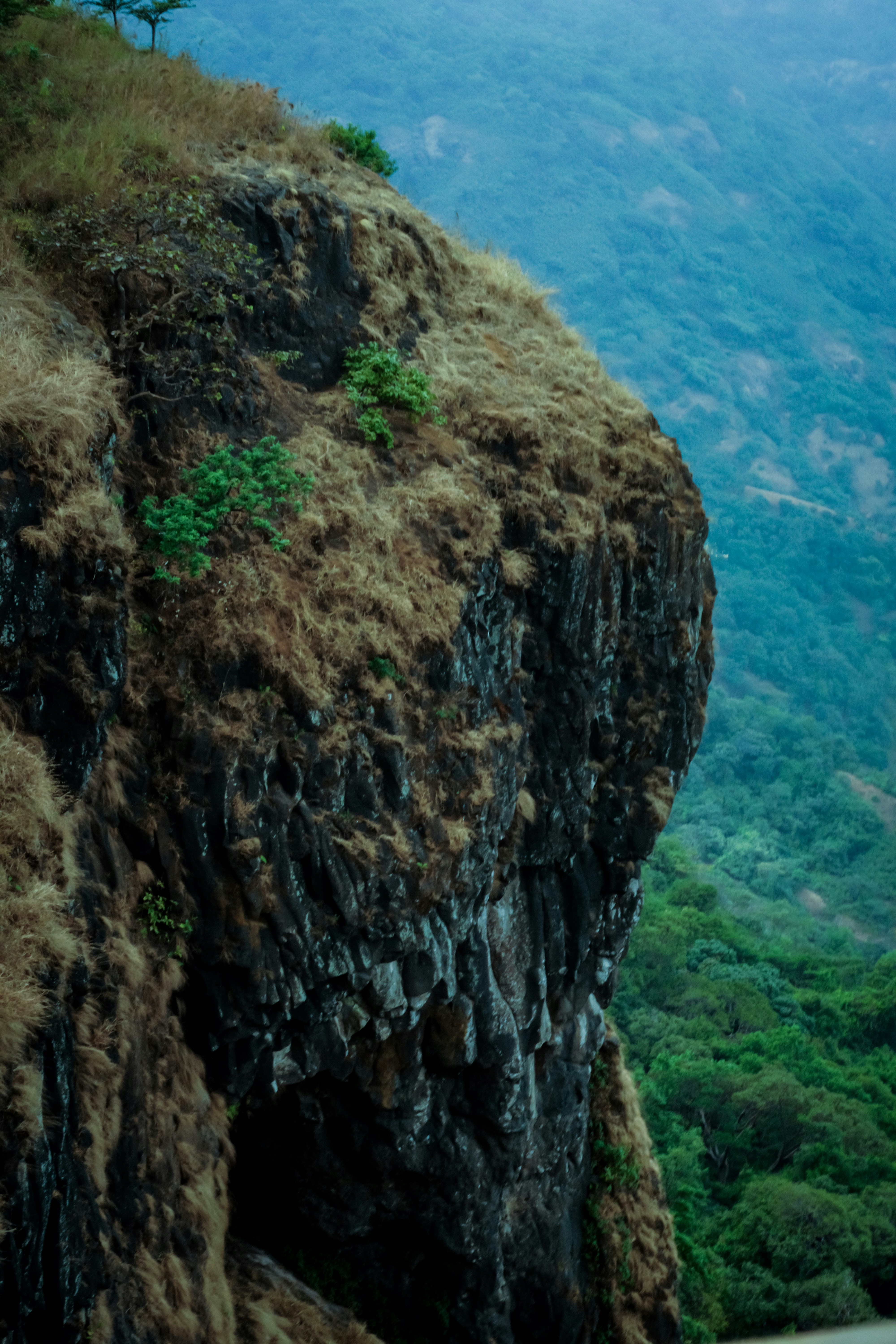 Photo by _muser_photography