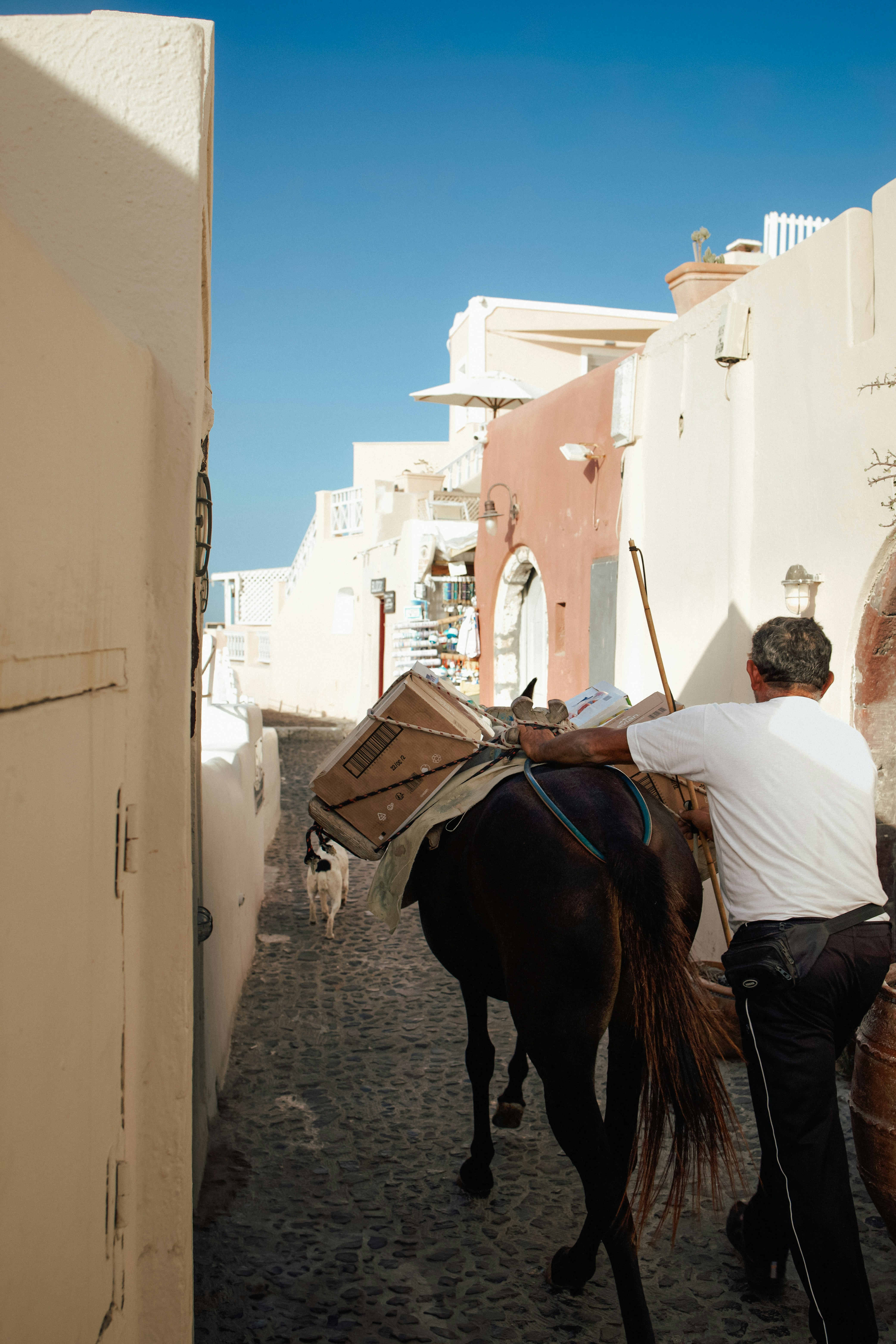 A man riding a horse down a street