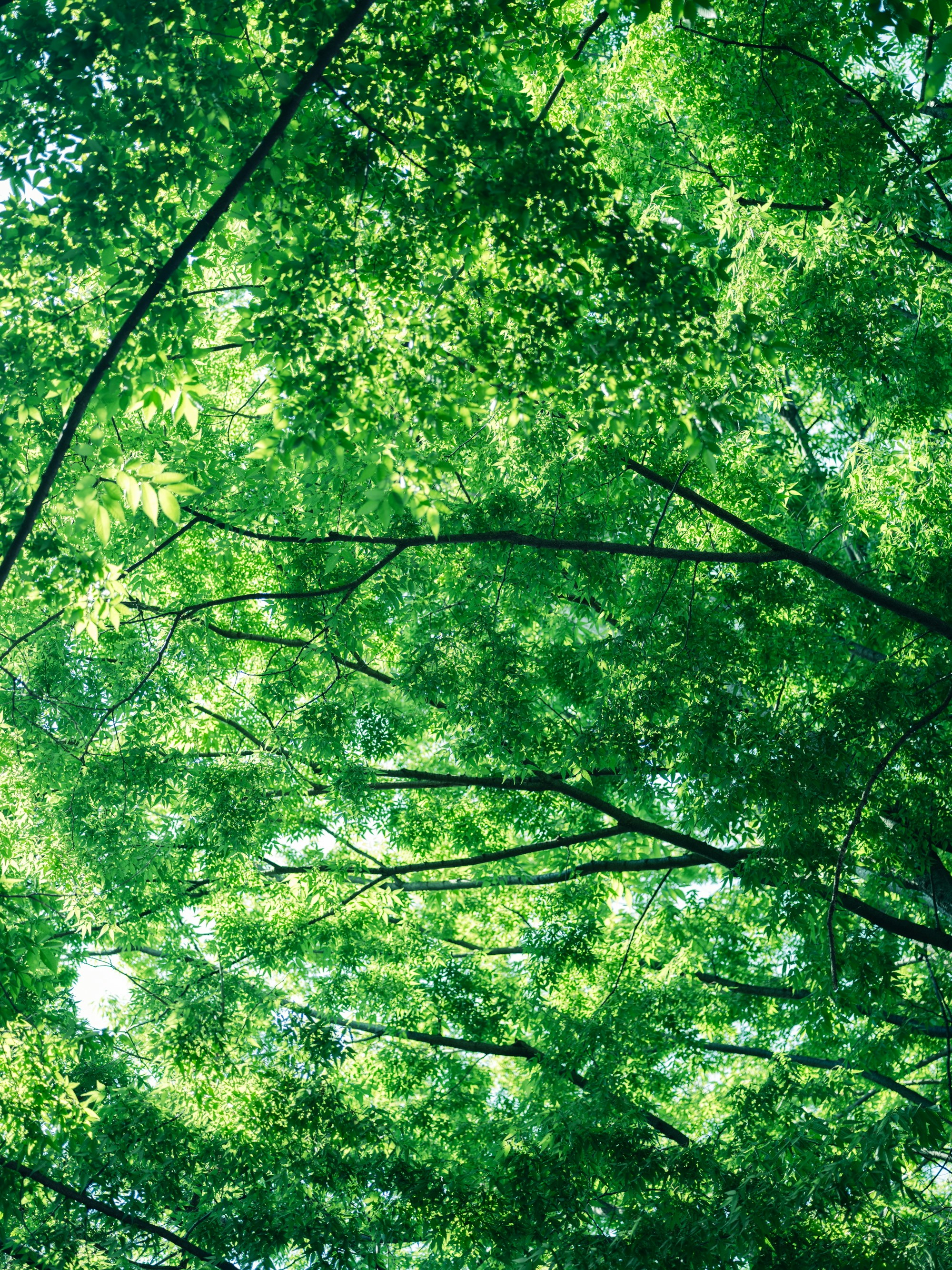 Photo by hongsungkyung