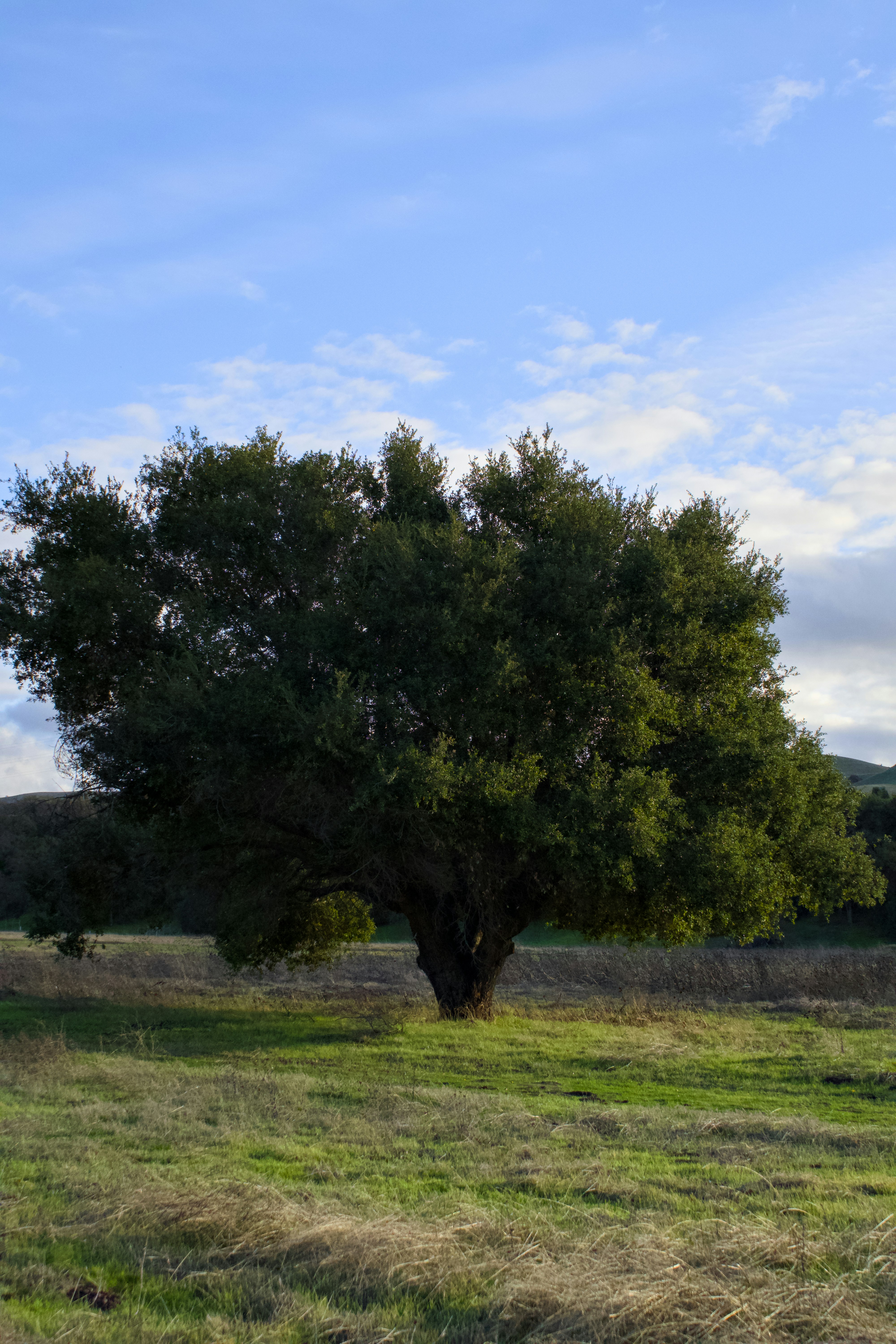 Photo by spencer_demera