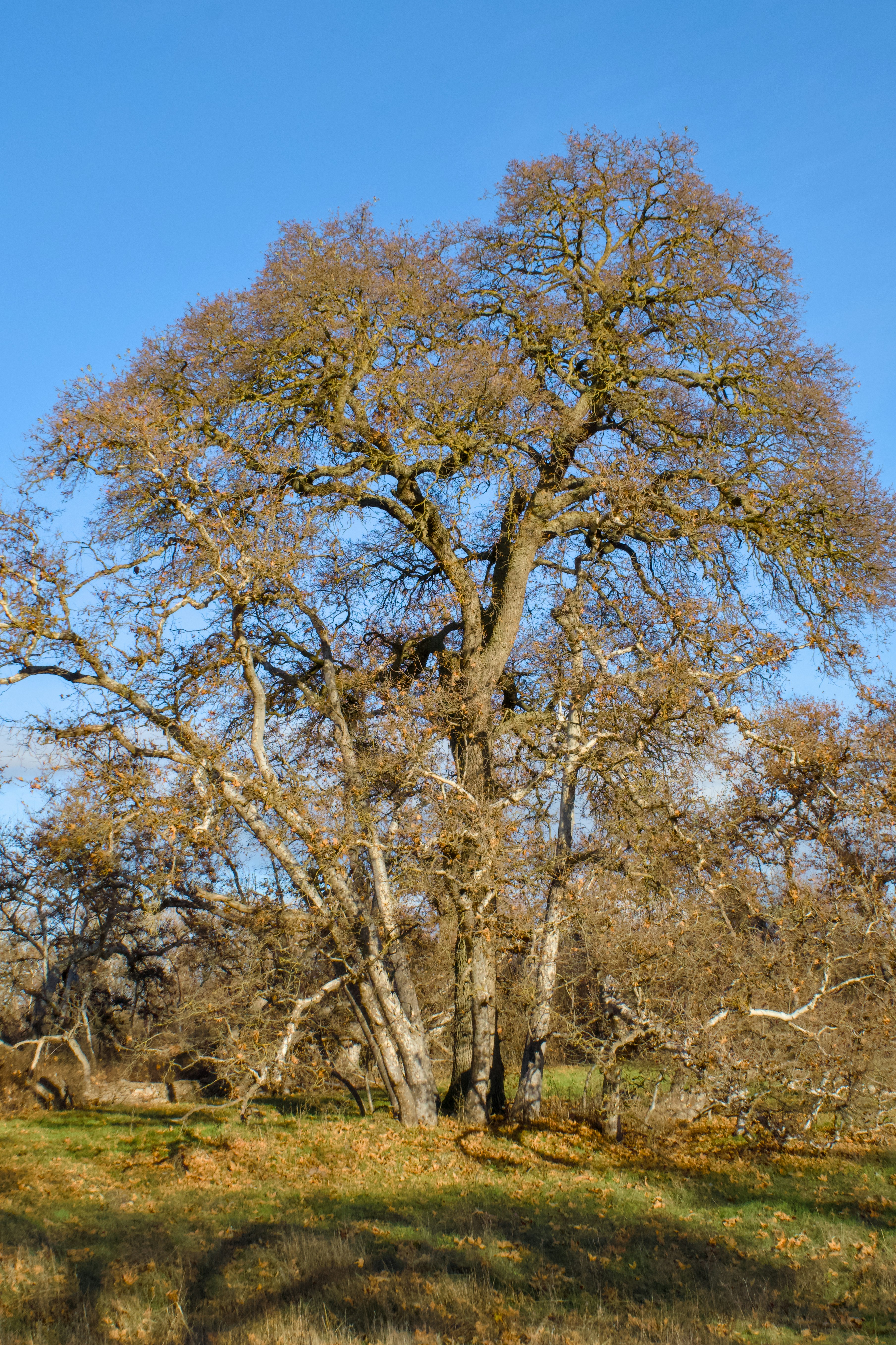 Photo by spencer_demera