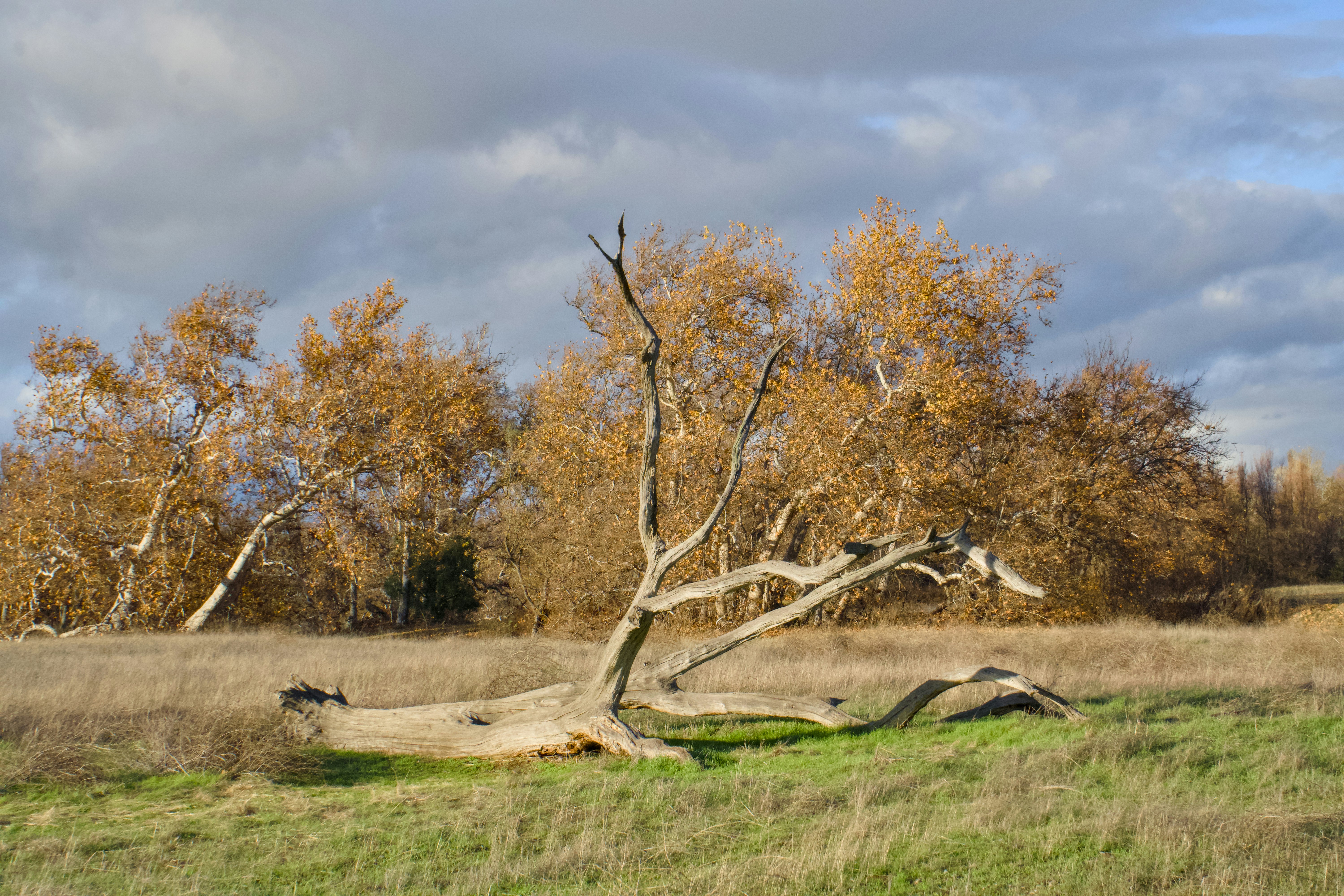 Photo by spencer_demera