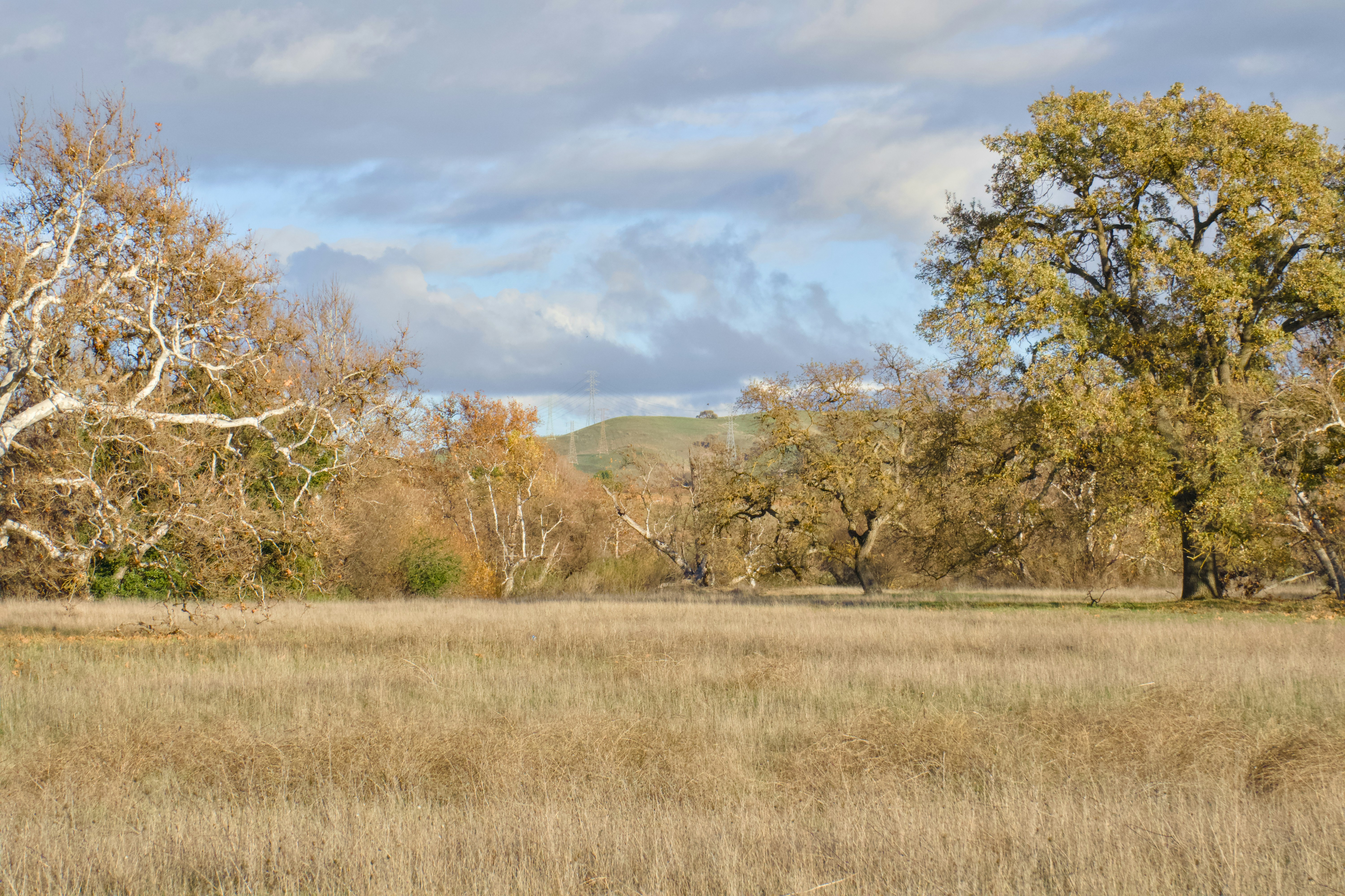 Photo by spencer_demera