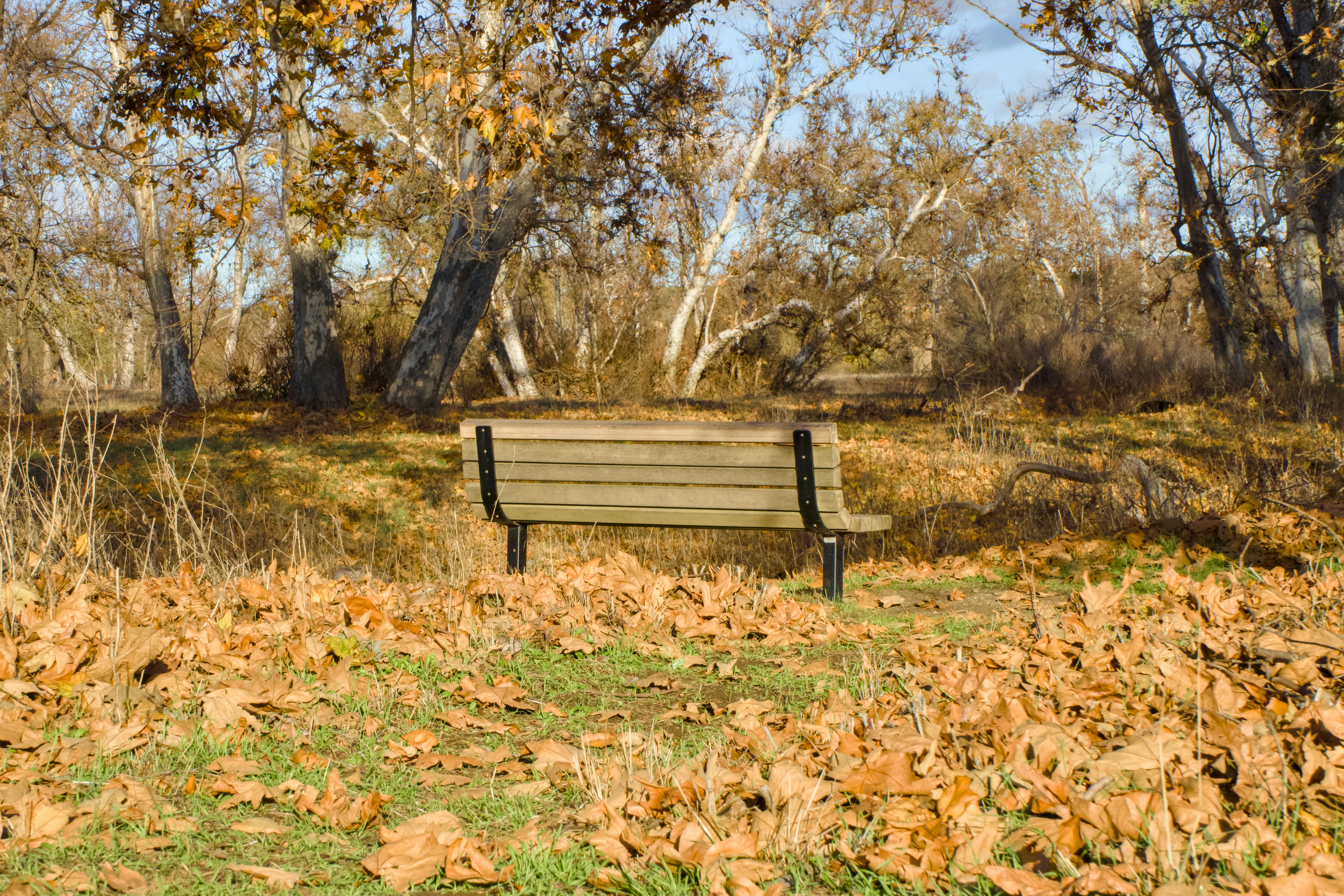 Photo by spencer_demera