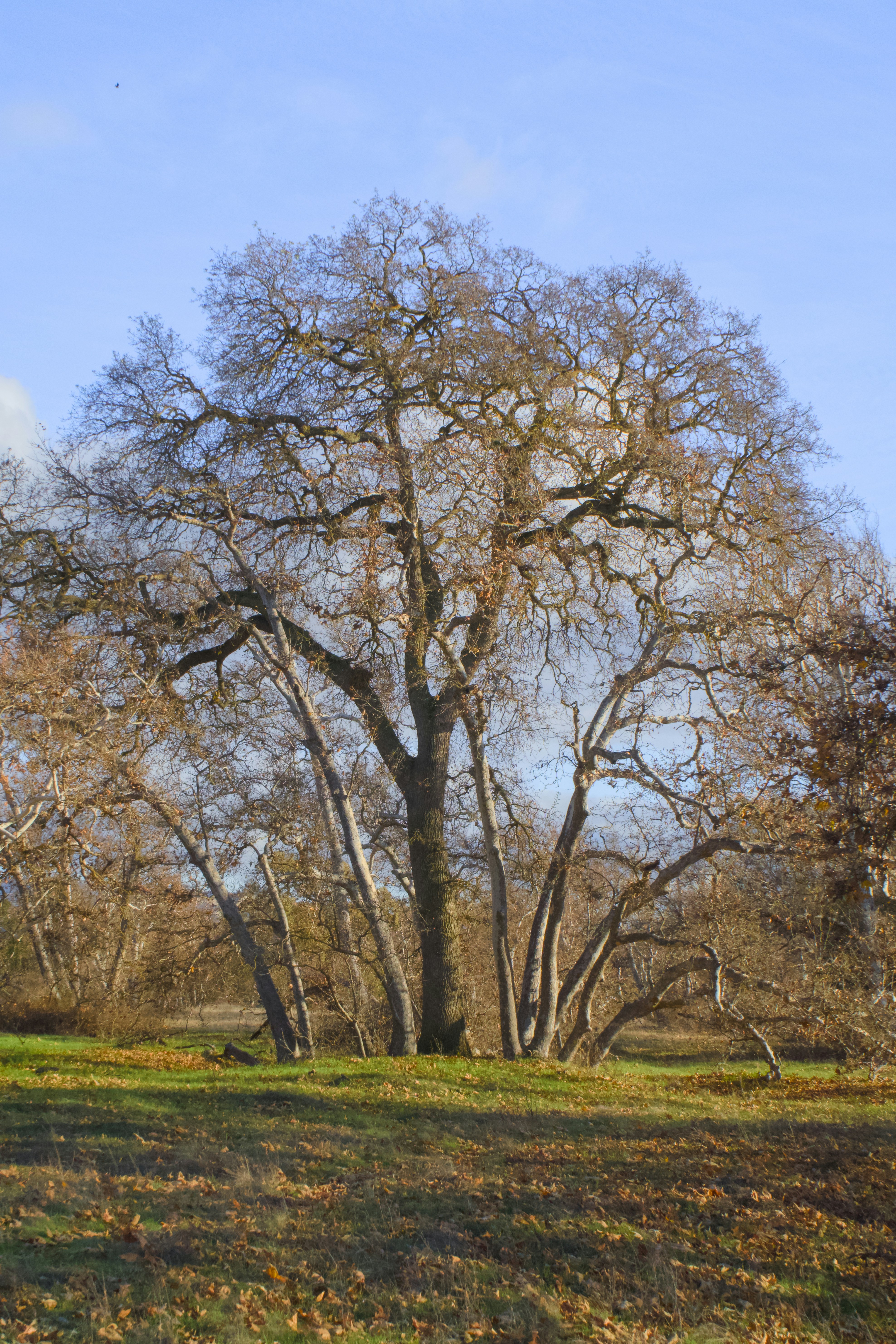 Photo by spencer_demera