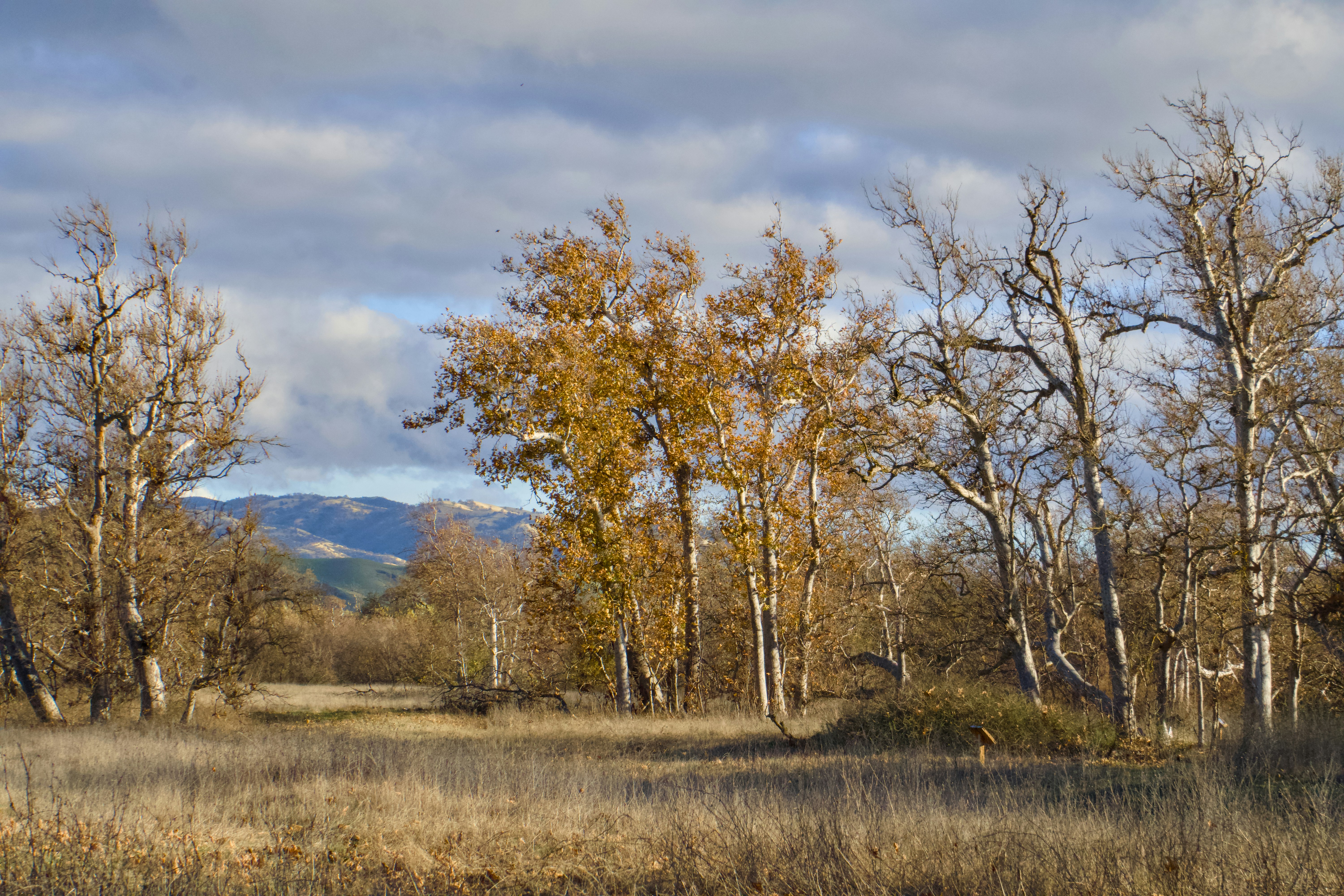 Photo by spencer_demera