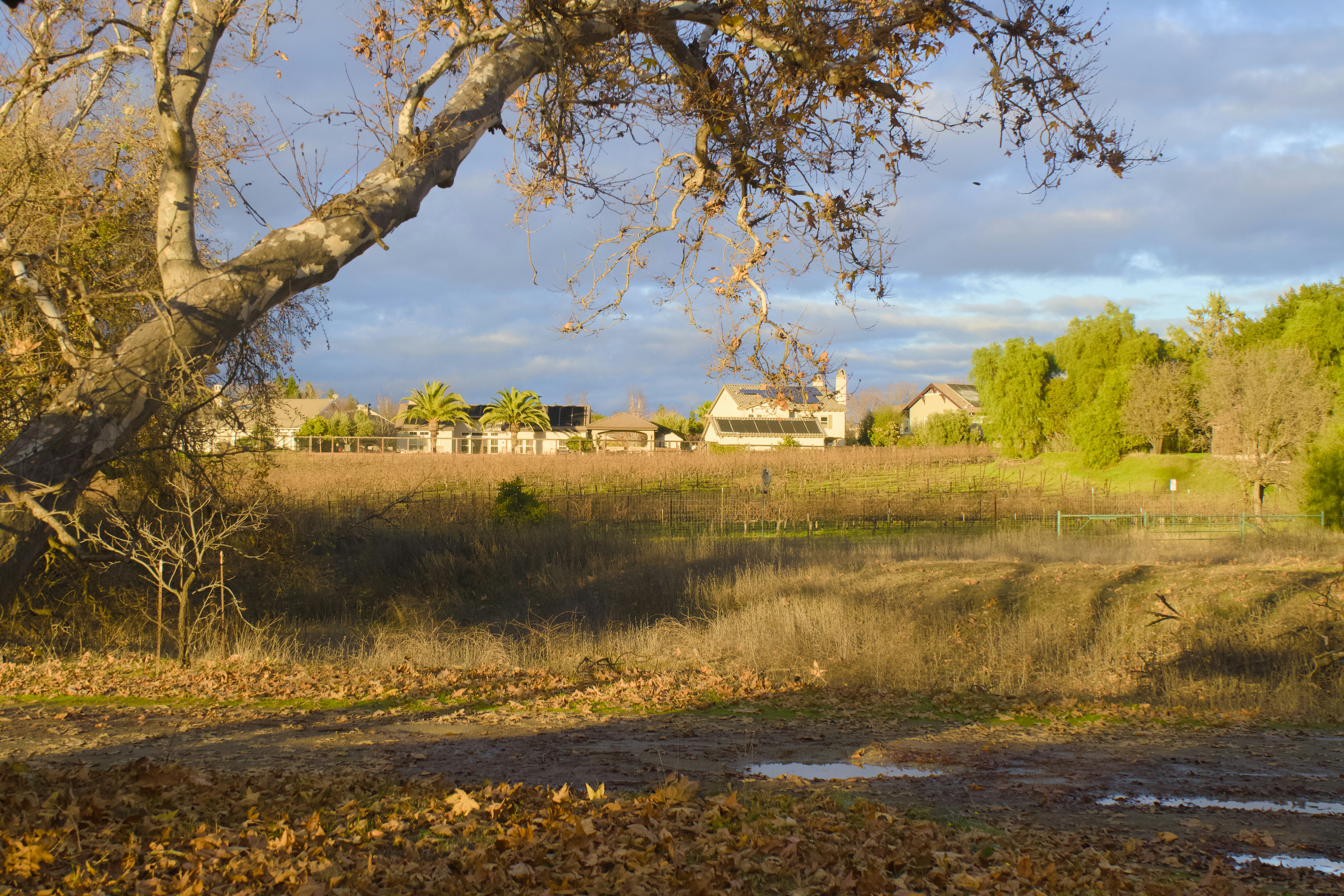 Photo by spencer_demera