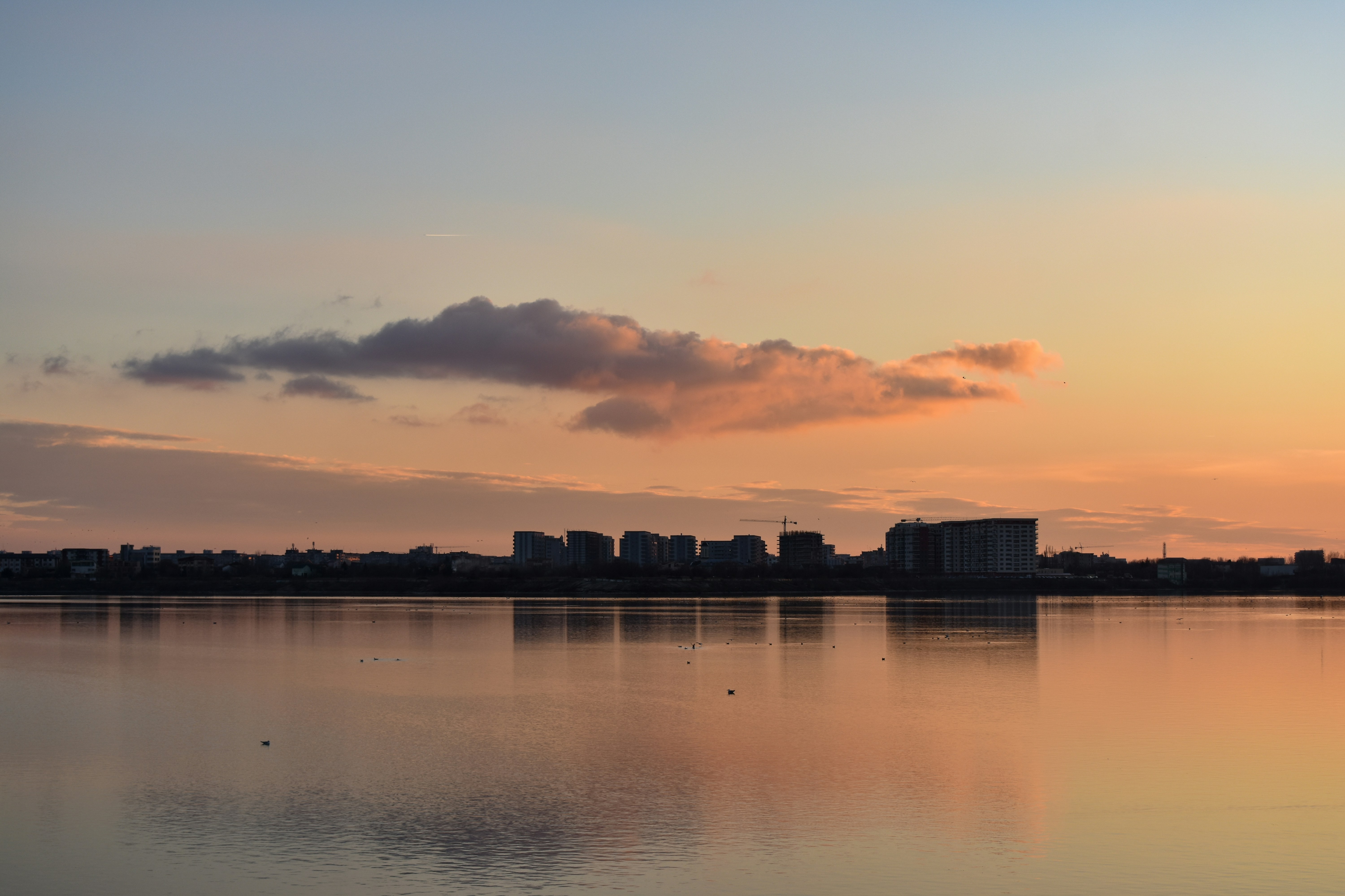 Photo by mirceadrian