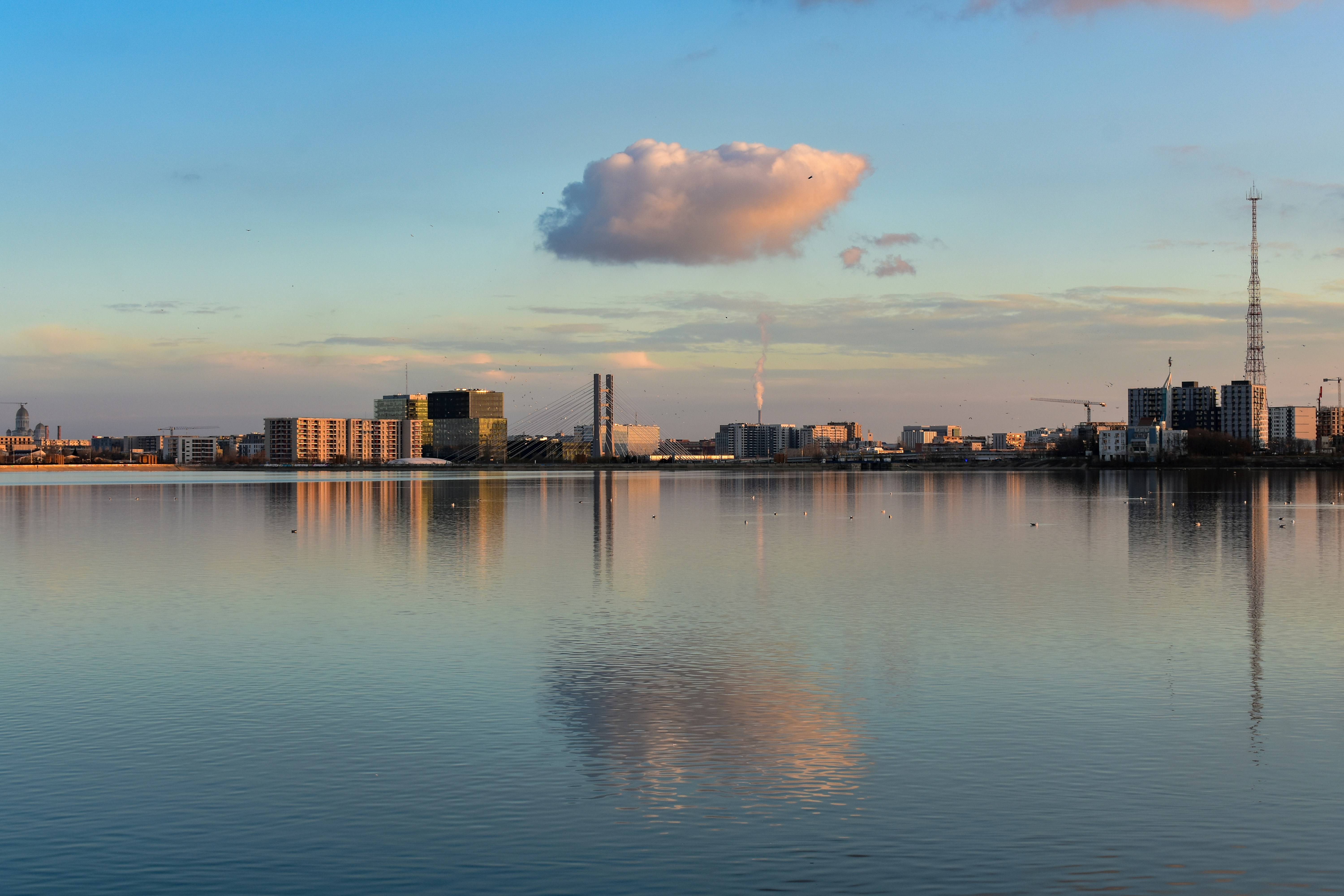 Photo by mirceadrian