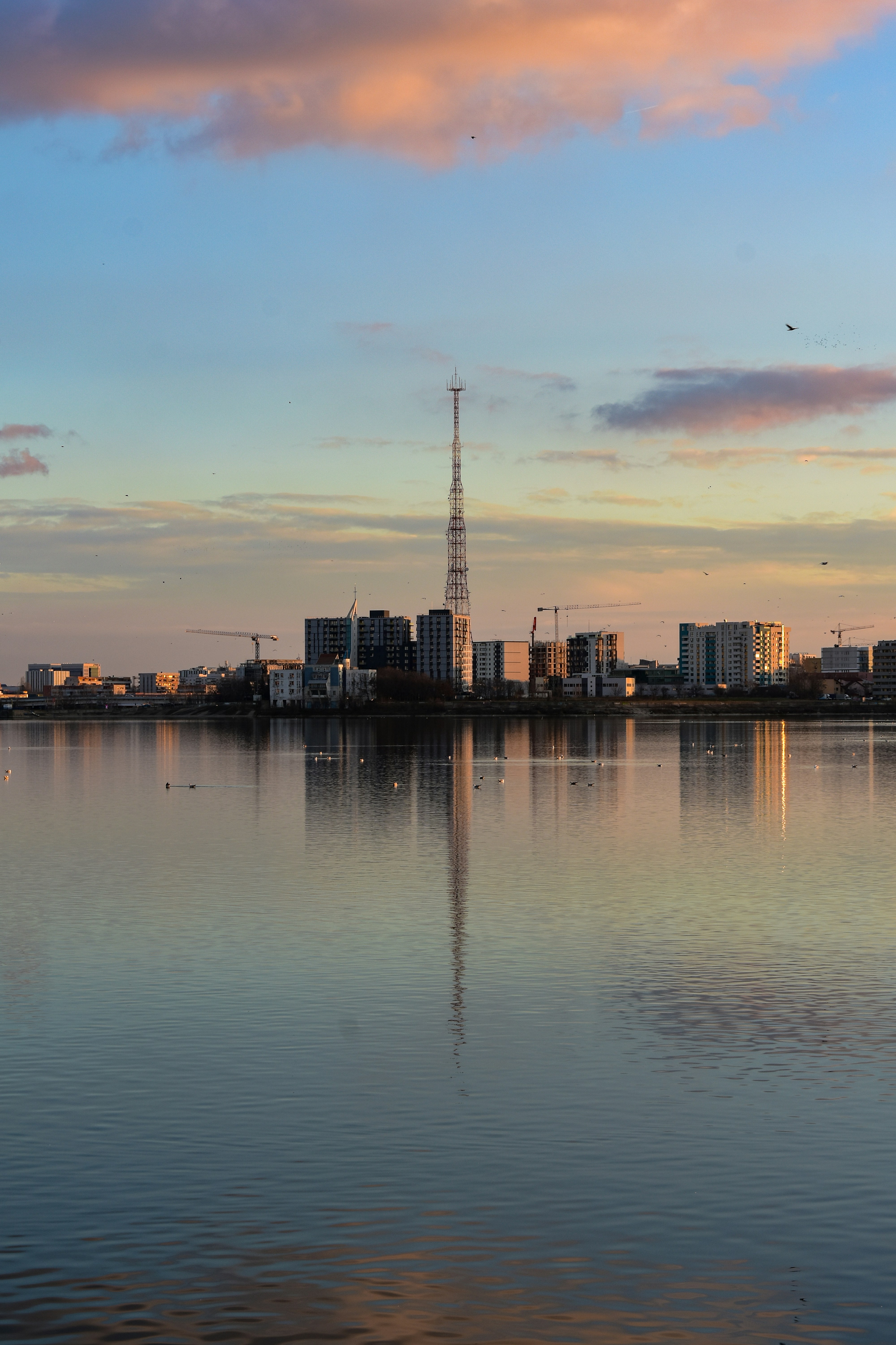 Photo by mirceadrian