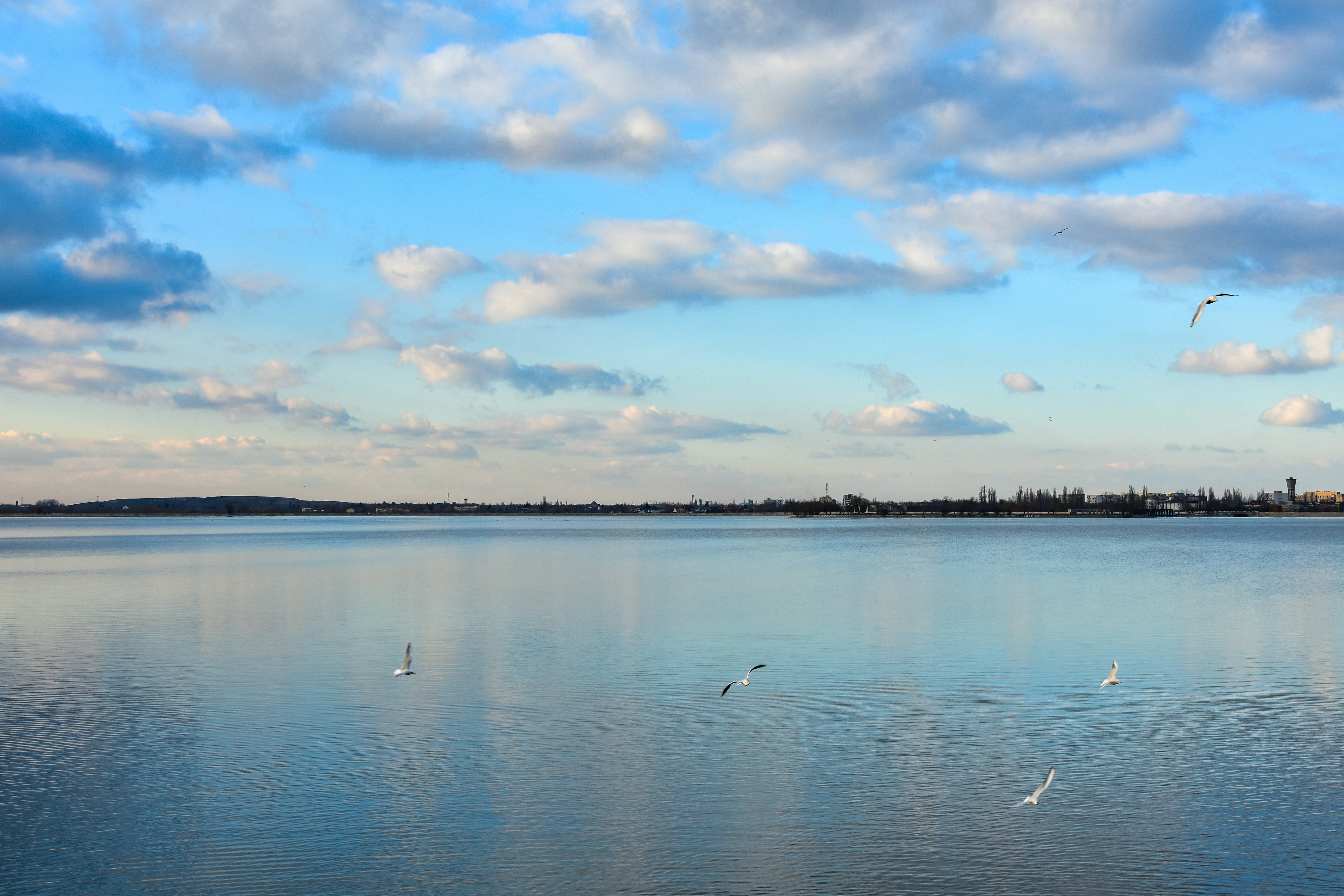 Photo by mirceadrian