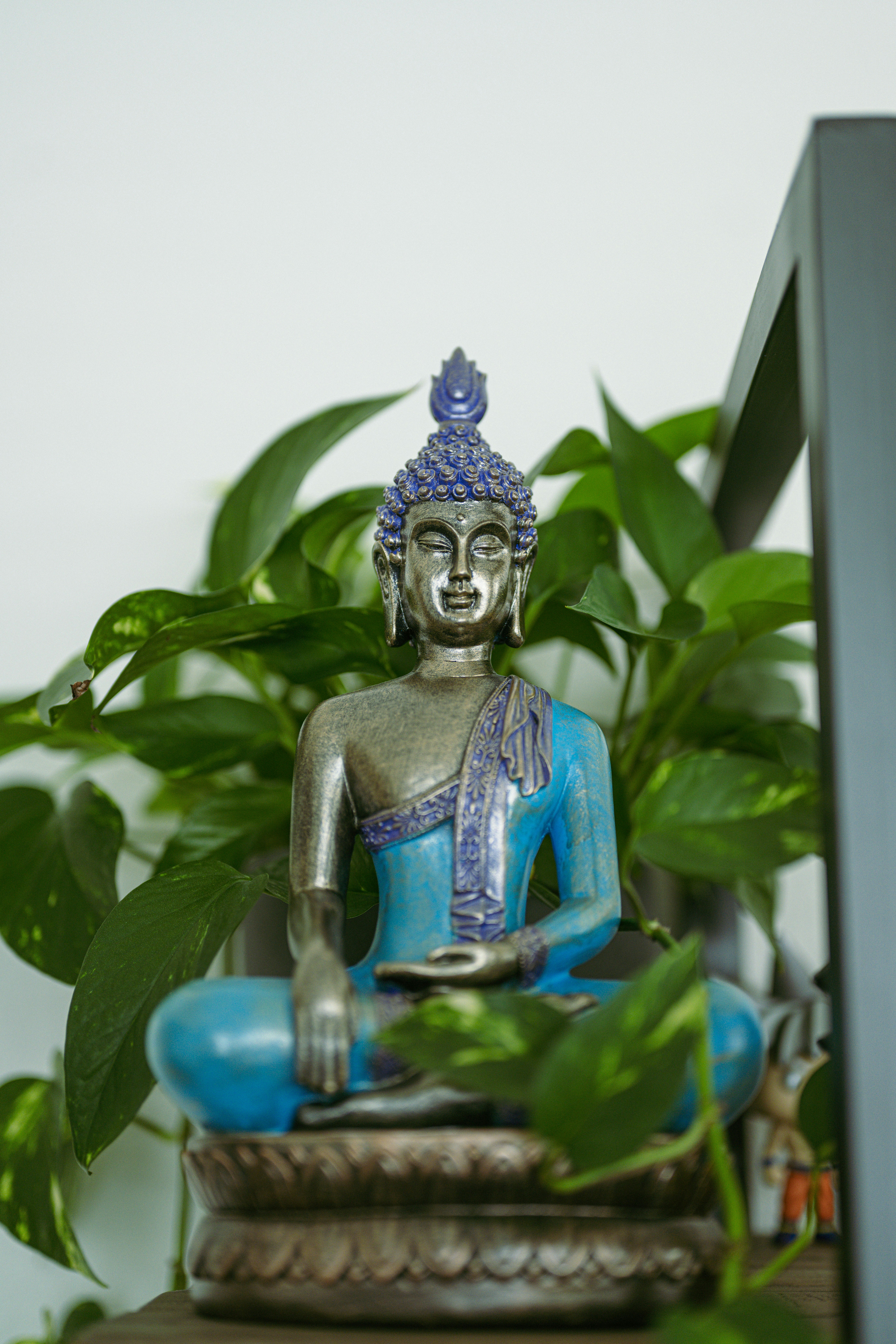 Photo by lokeshpaduchuri