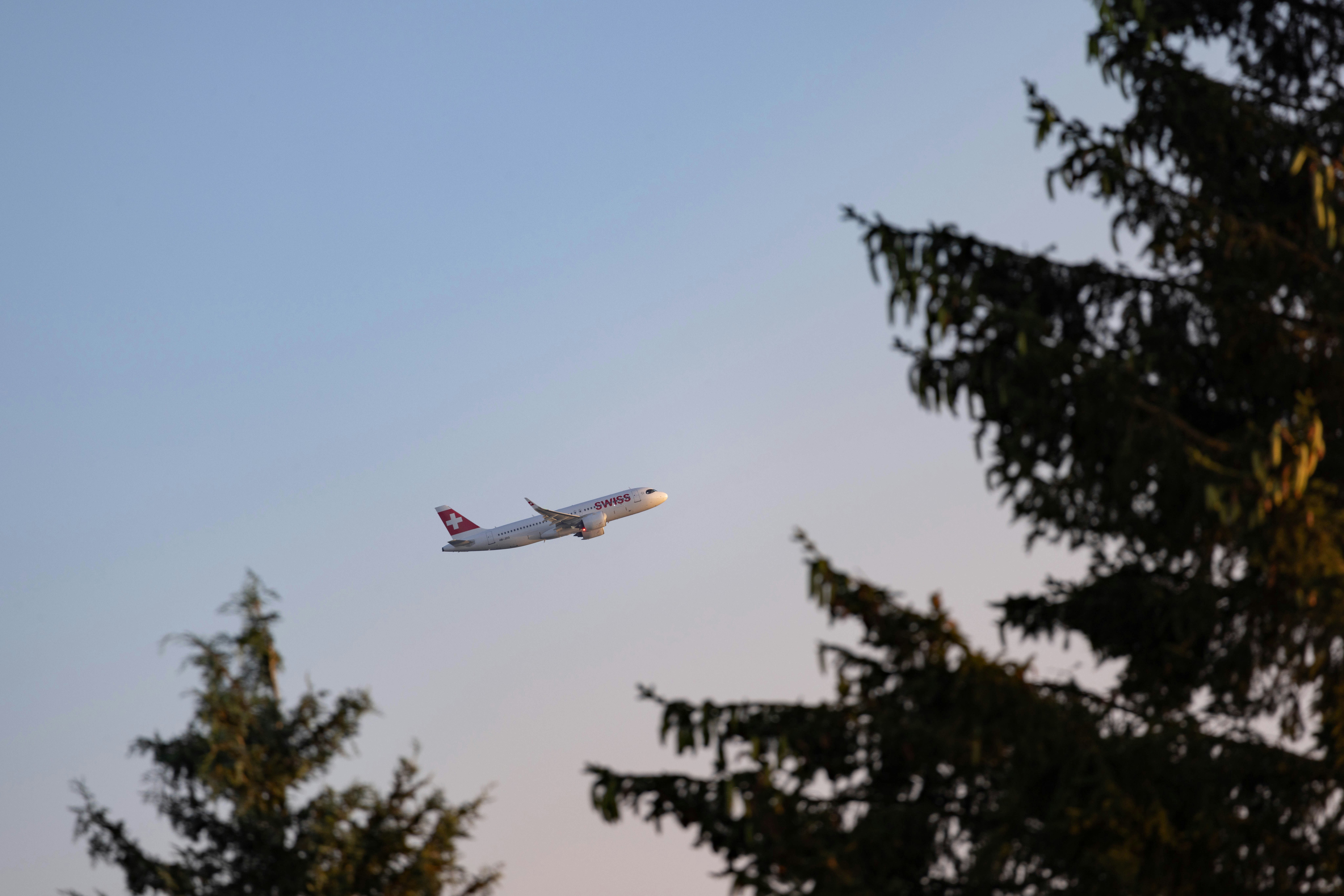An airplane is flying over some trees
