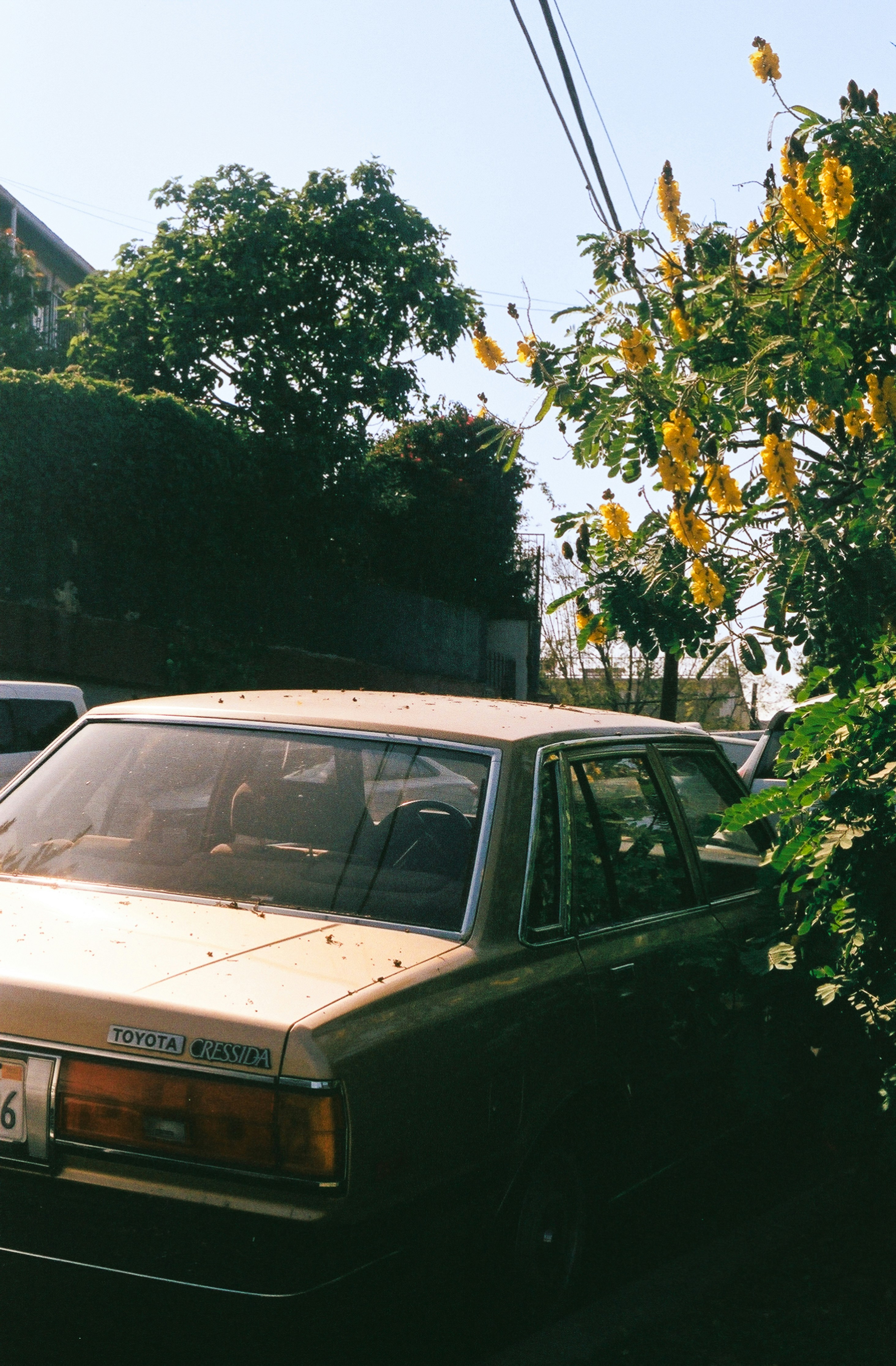 Photo by hiddenbubbles