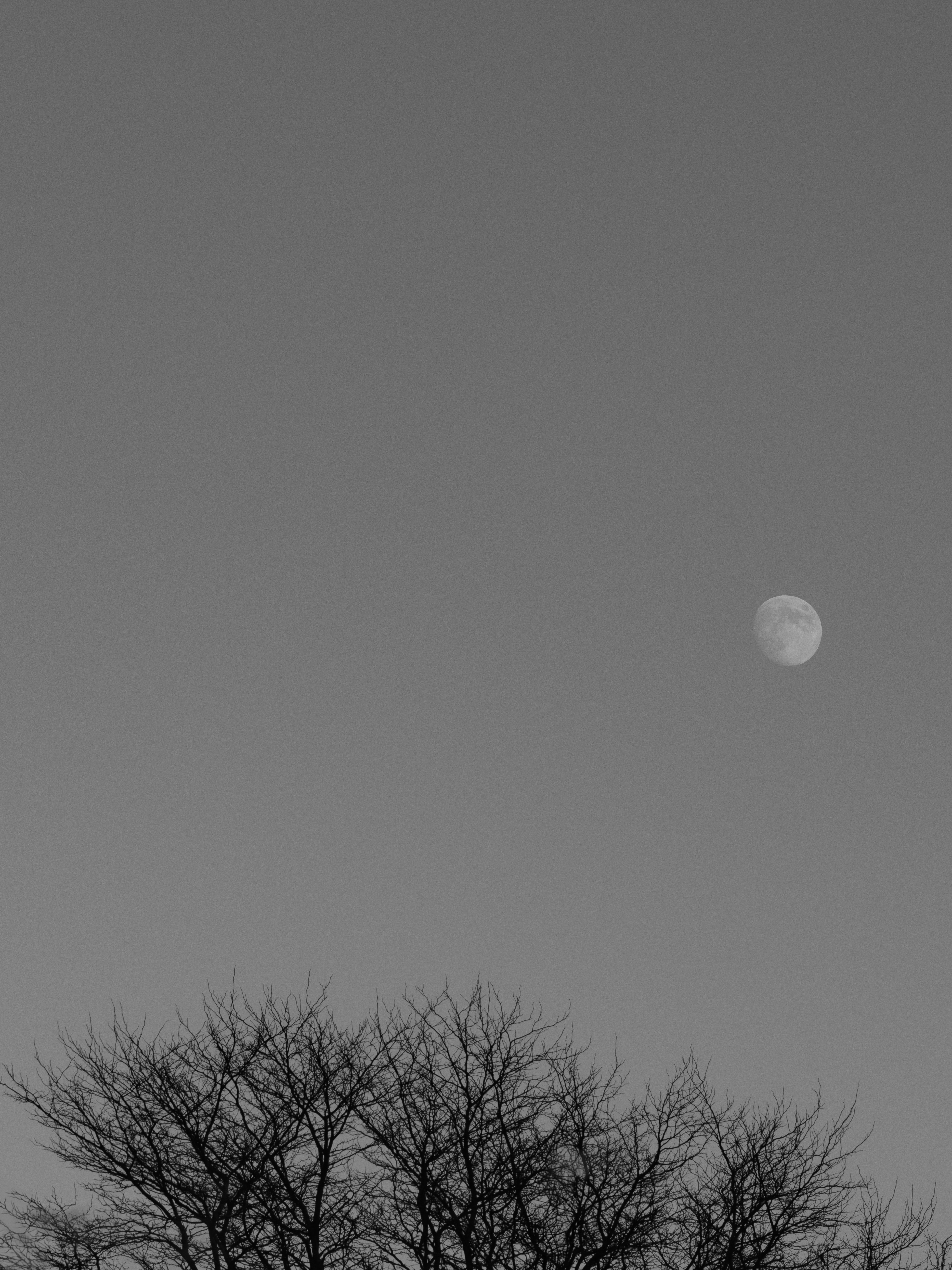 Photo by haberdoedas