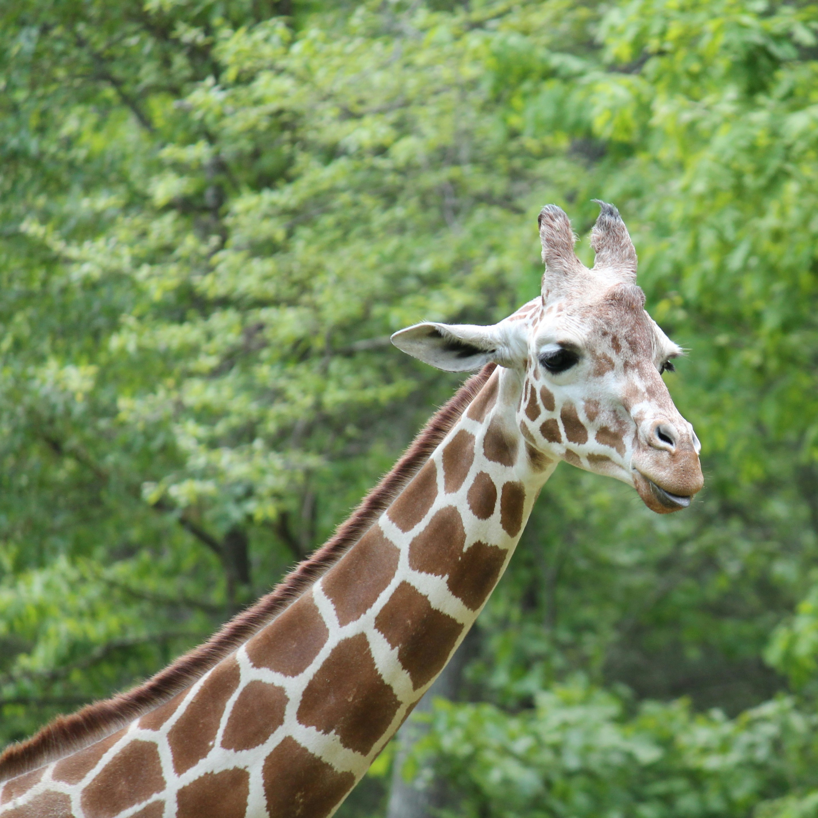 Photo by annetteangela