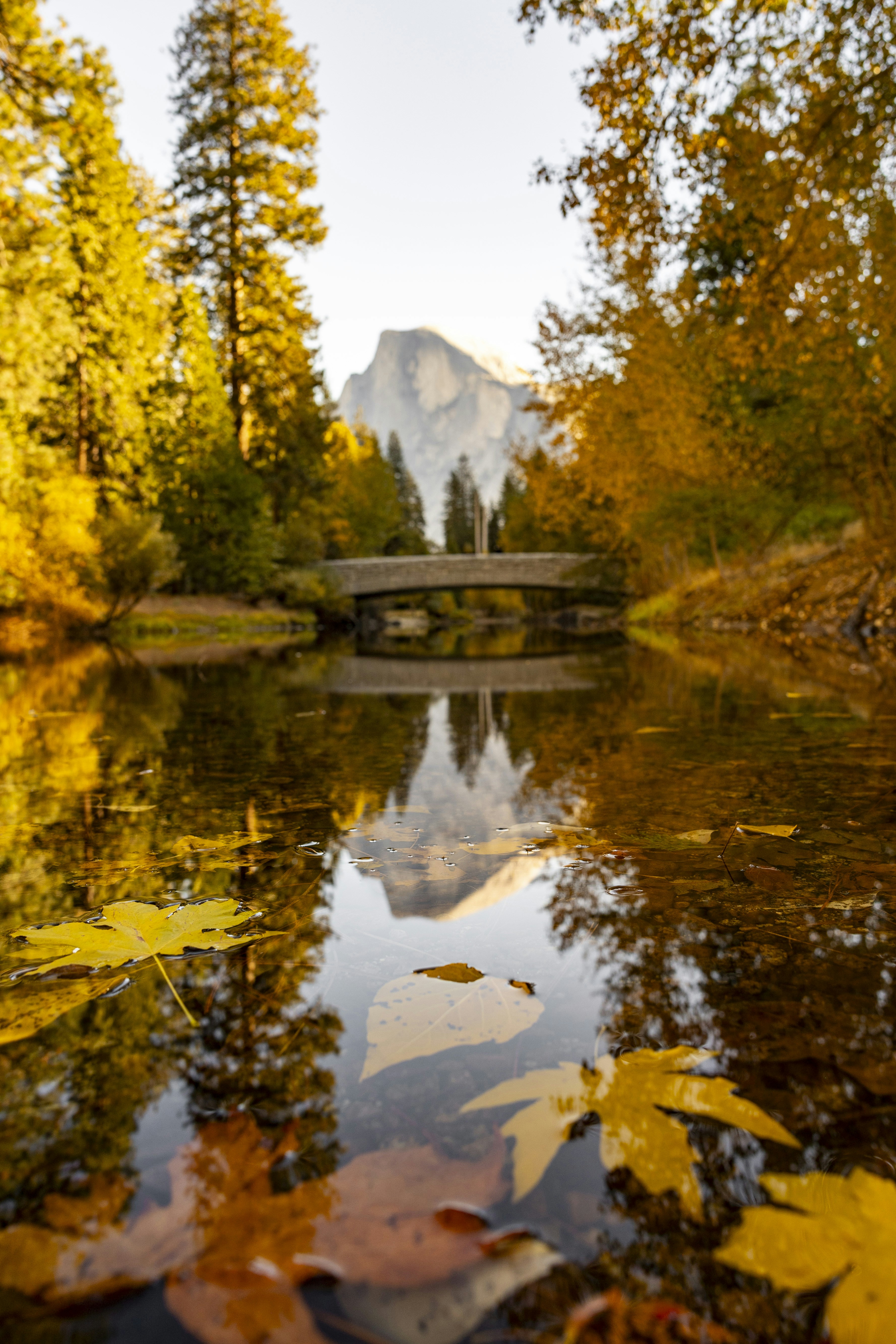 Photo by leo_visions_