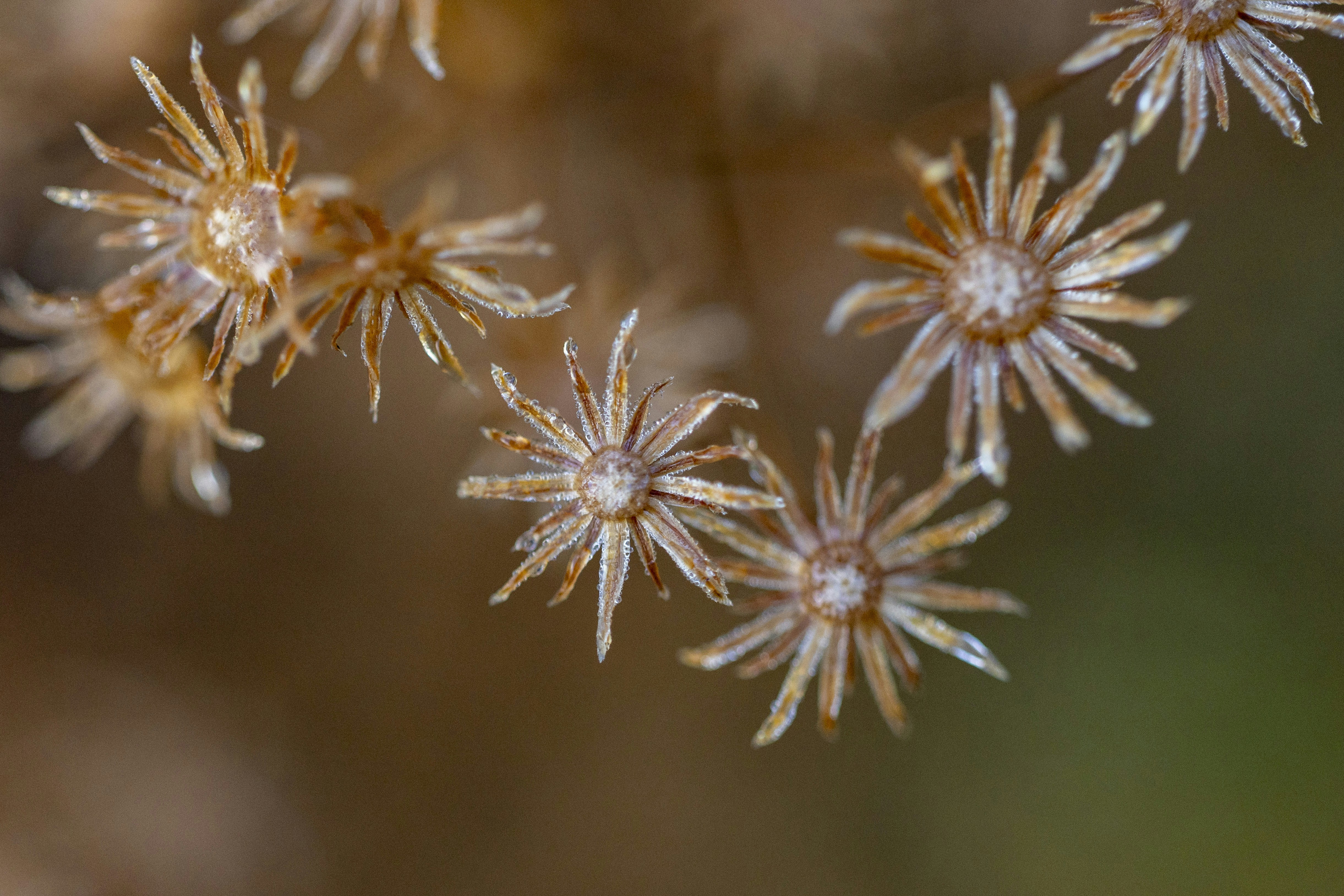 Photo by leo_visions_