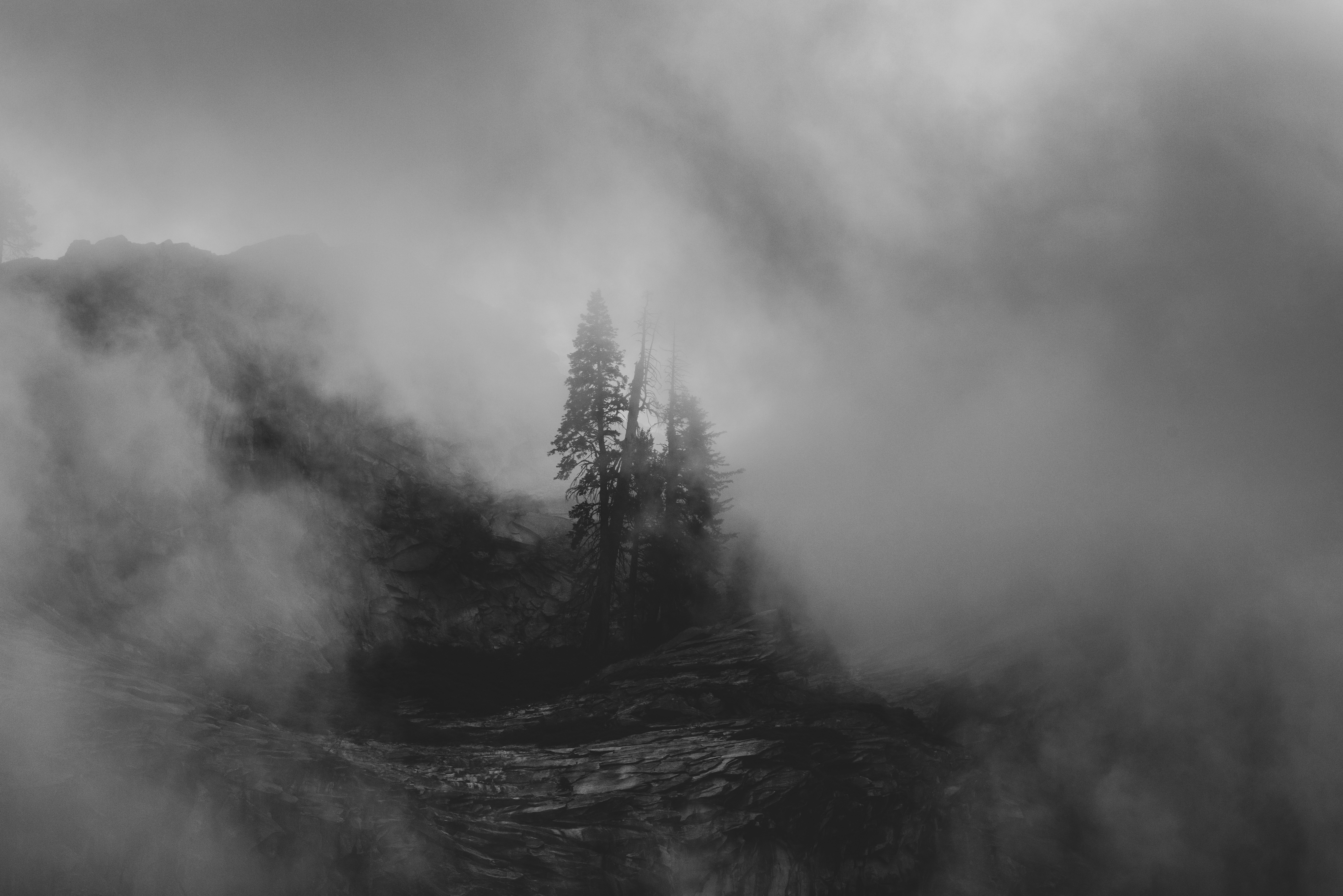 Photo by leo_visions_