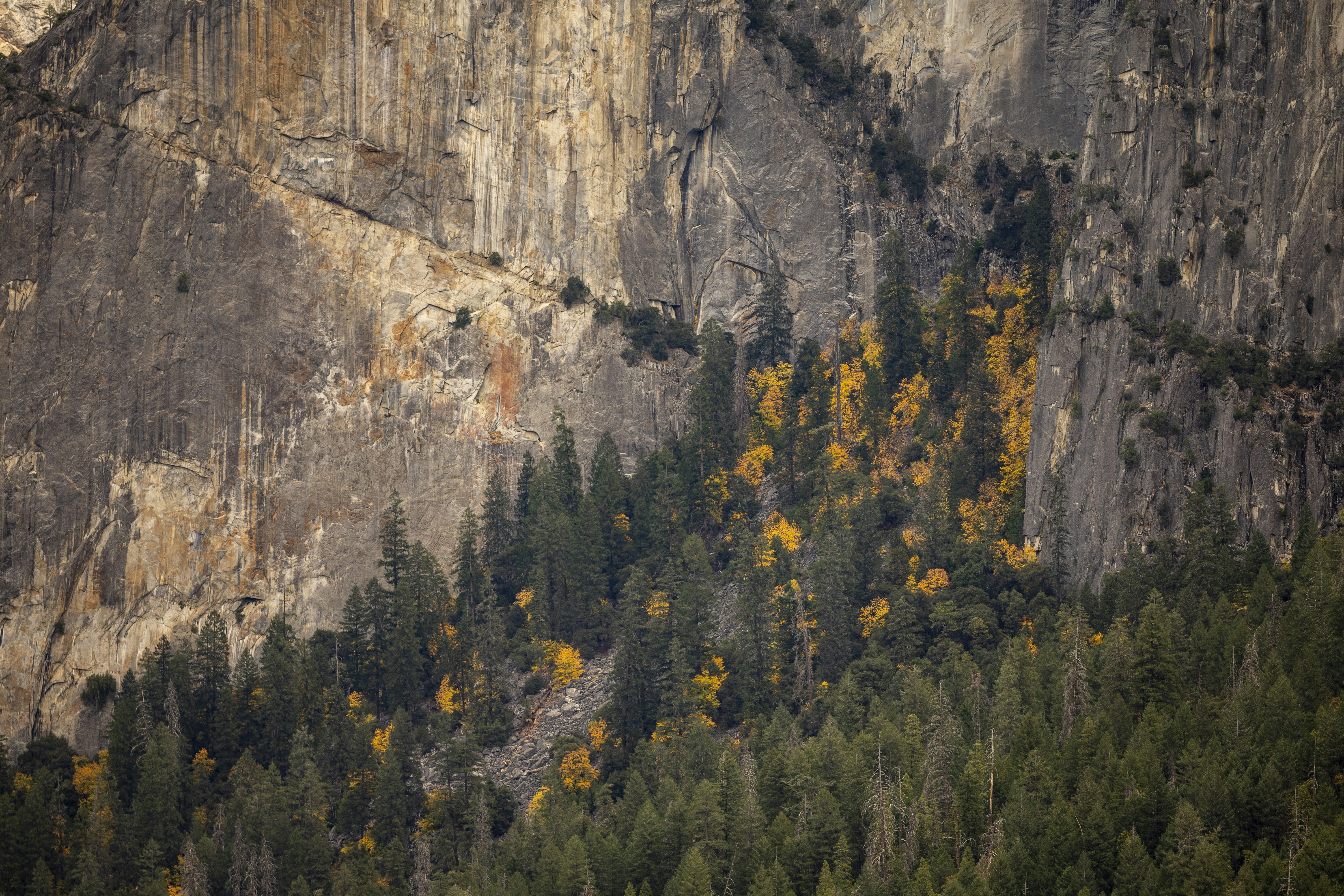 Photo by leo_visions_