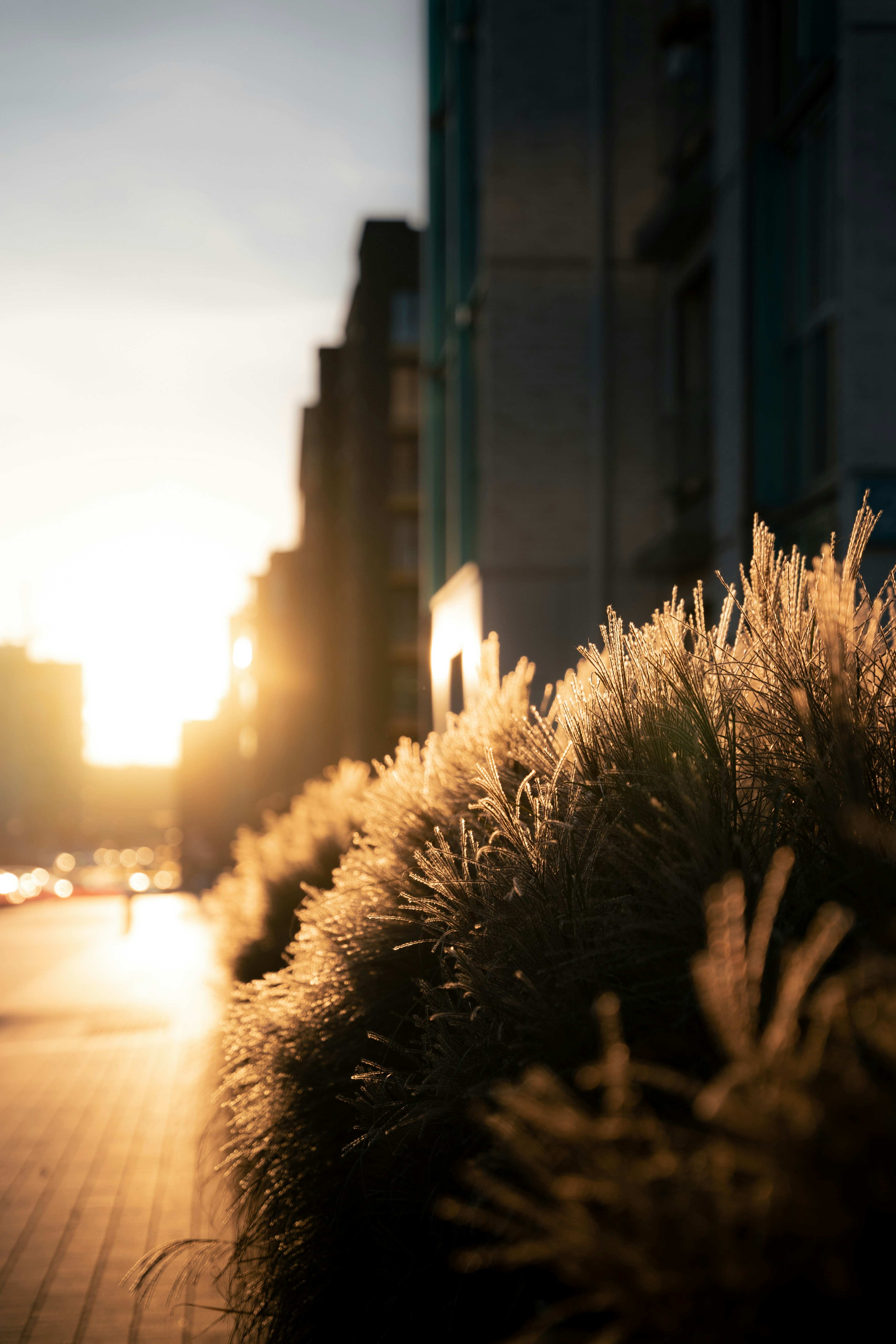 Photo by auchynnikau